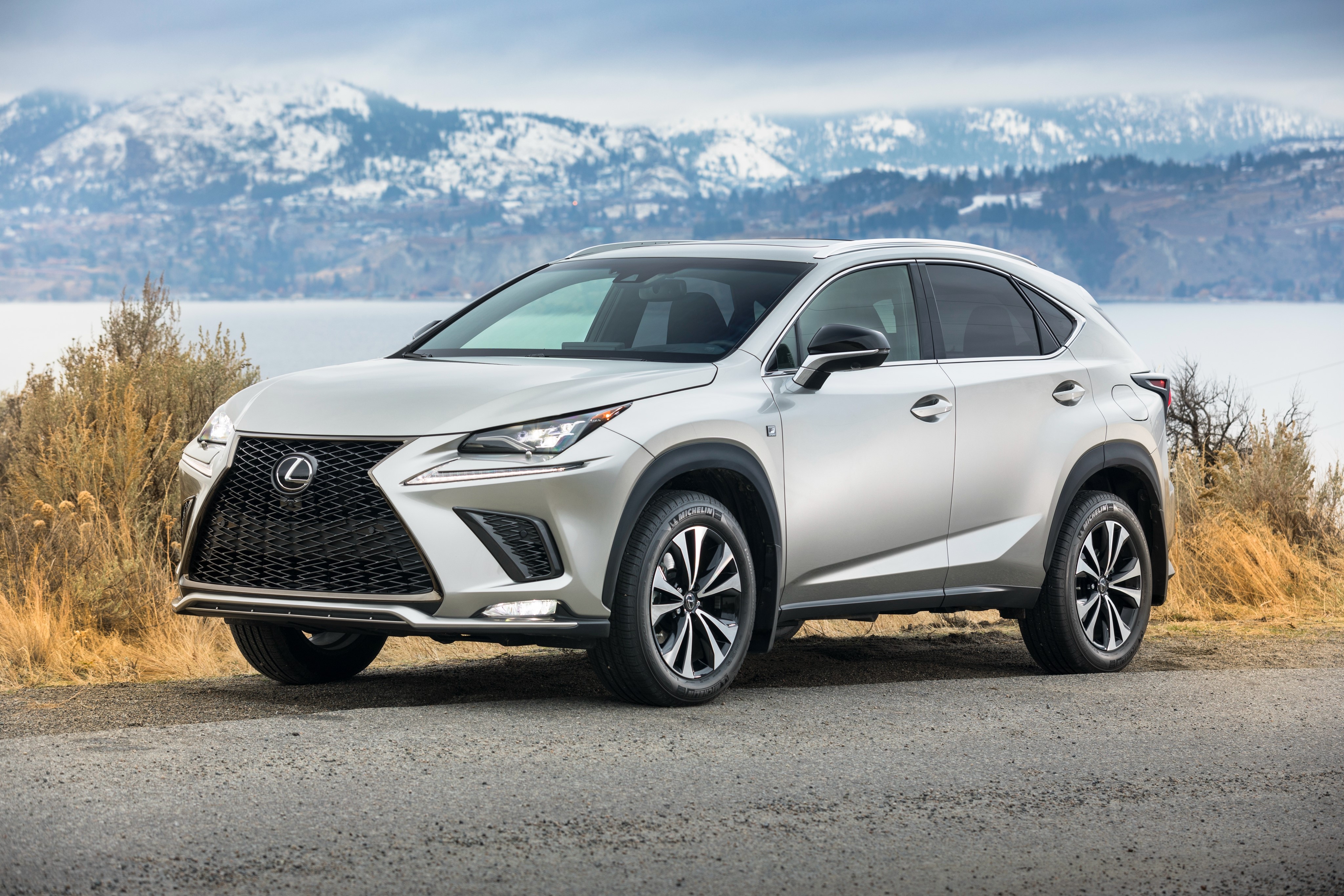 2018 Lexus NX 300 F SPORT in white HD Wallpaper