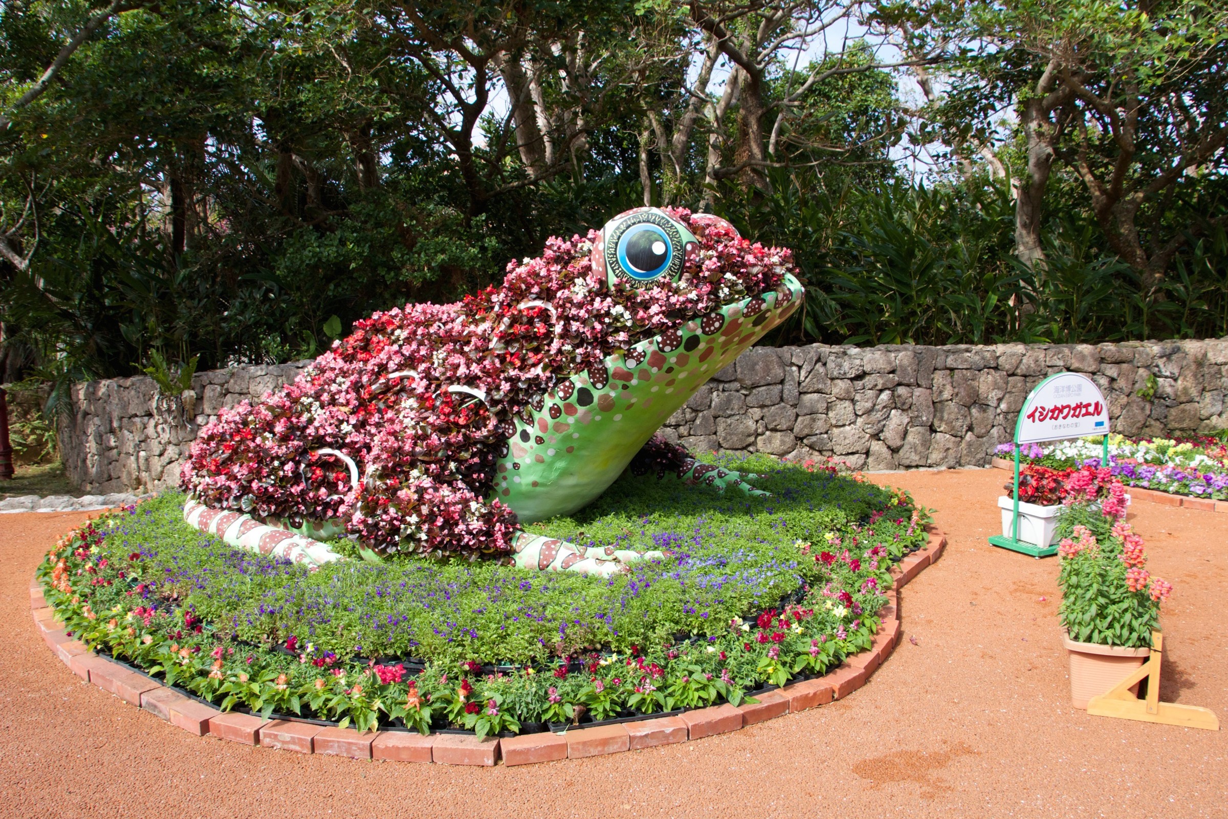 Frog flower arrangement in a park in Okinawa, Japan HD Wallpaper