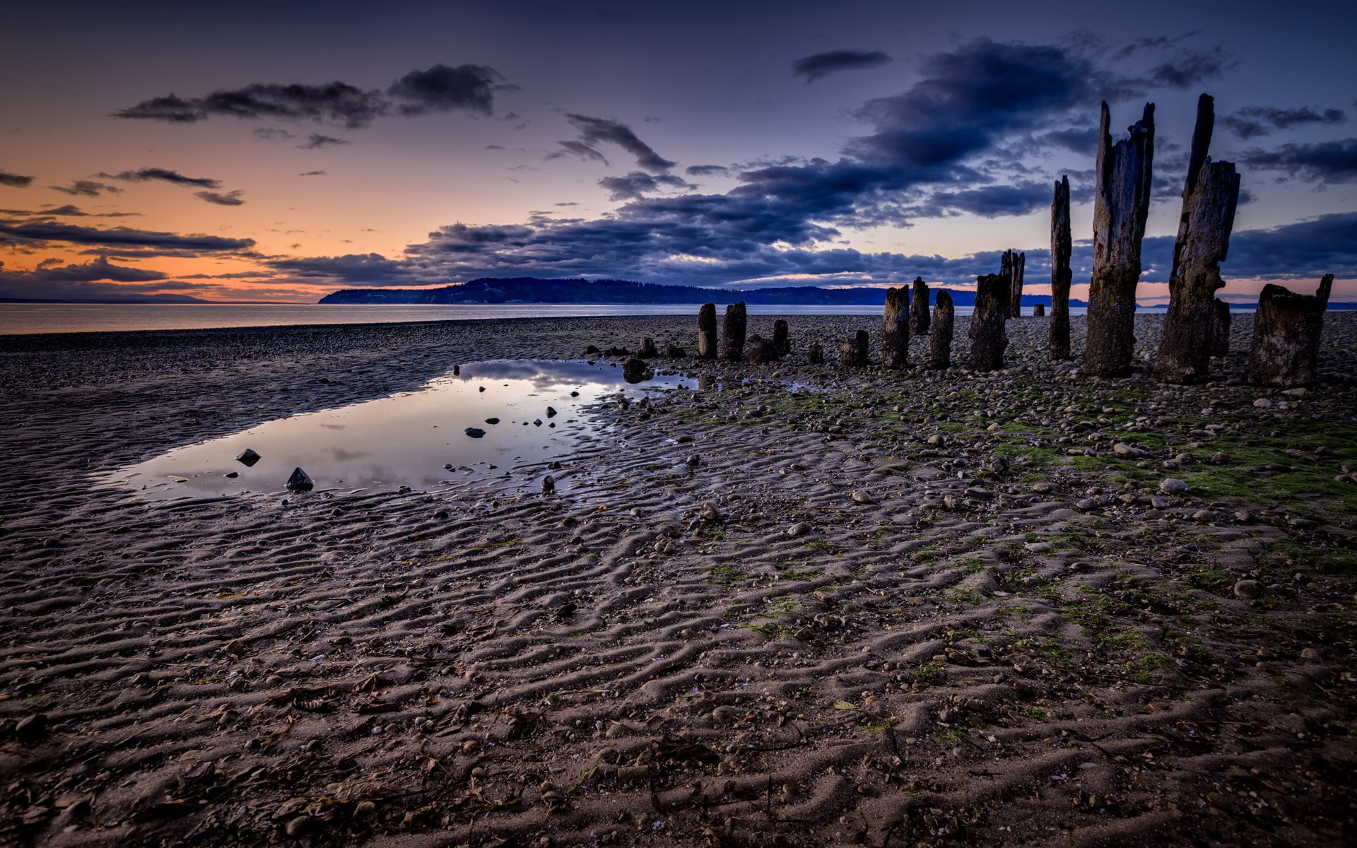 Wooden pilings on a beach at sunset HD Wallpaper