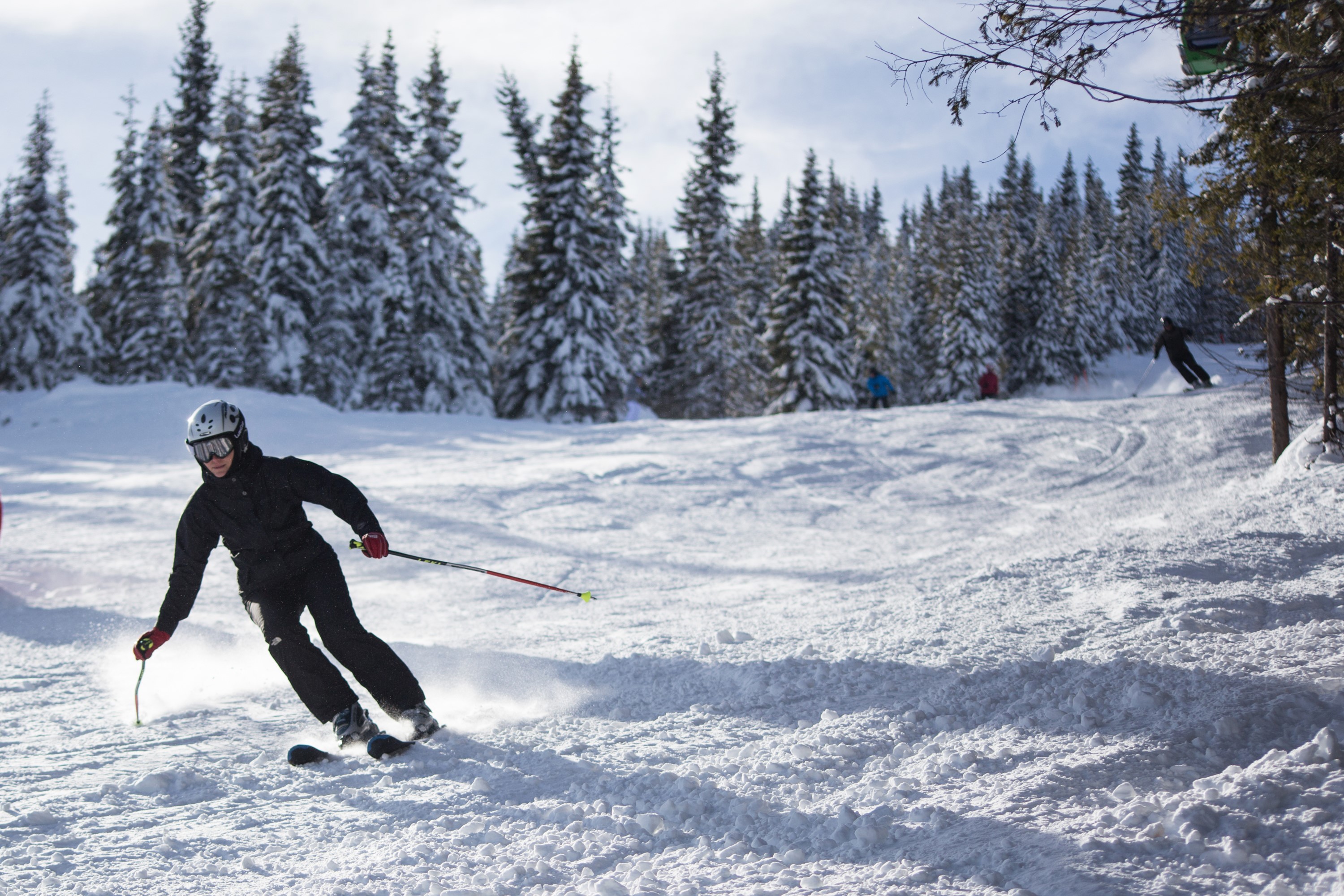 Person skiing down a snowy slope with trees in the background HD Wallpaper