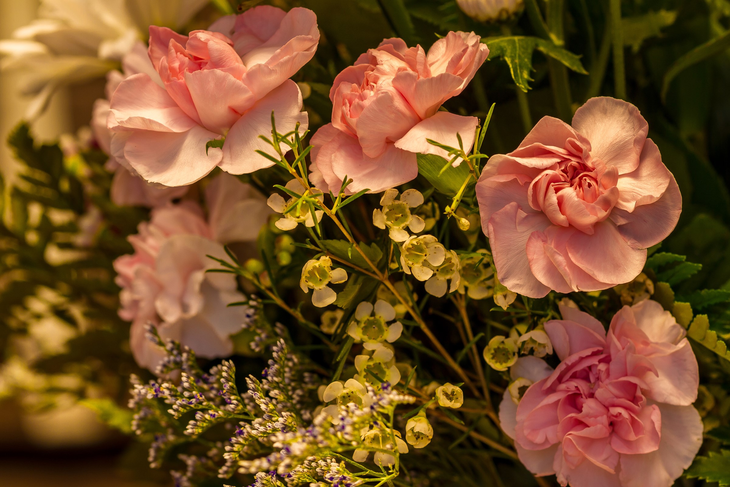 Pink Carnations and Small White Flowers Bouquet HD Wallpaper