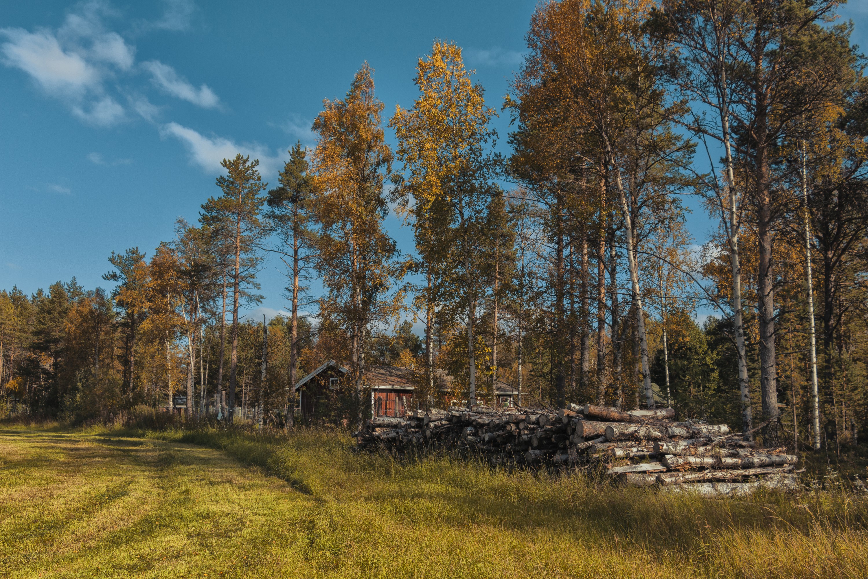 Autumn scene in Ivalo, Finland with a small cabin and woodpile HD Wallpaper