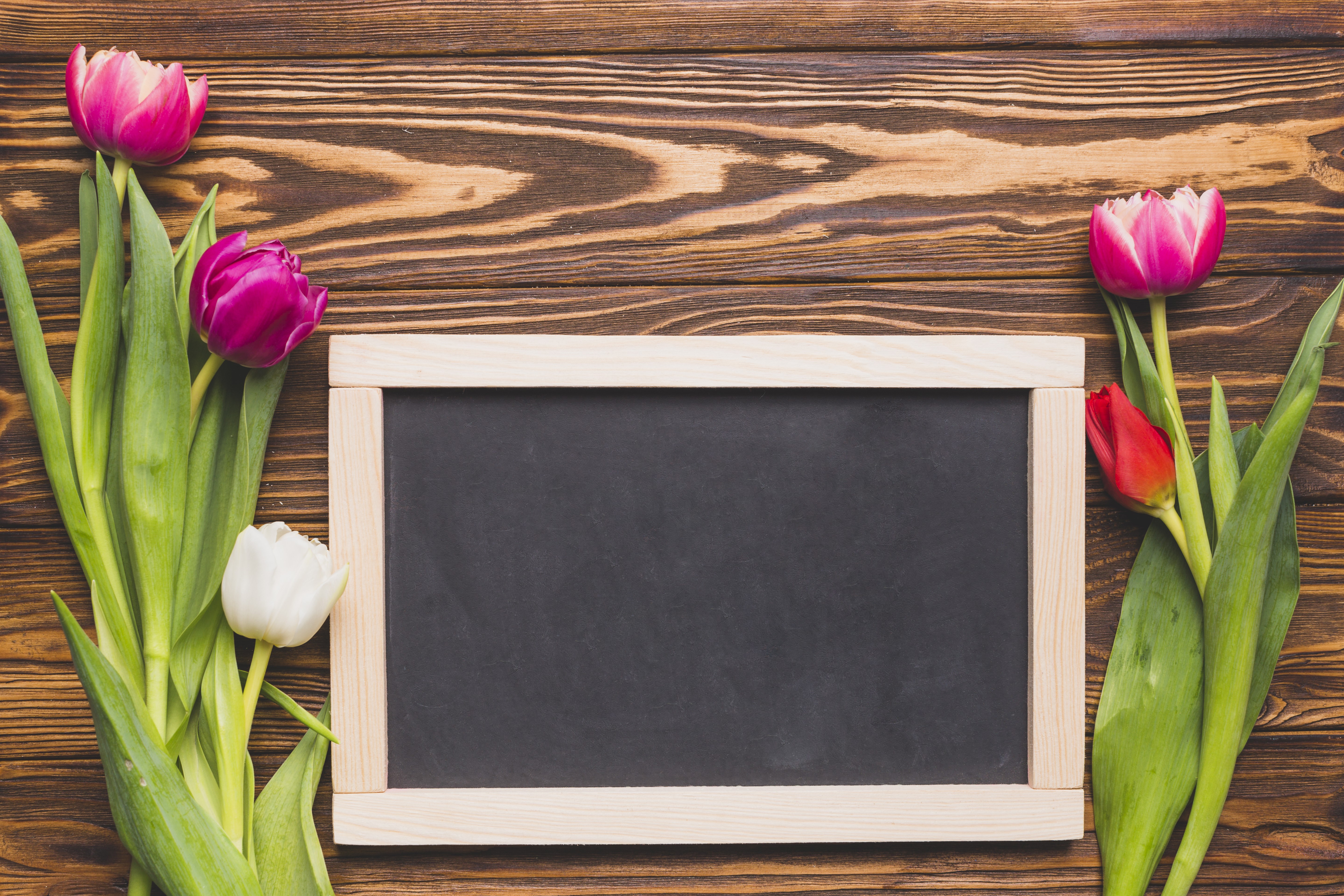 Tulips on a wooden background with a chalkboard HD Wallpaper