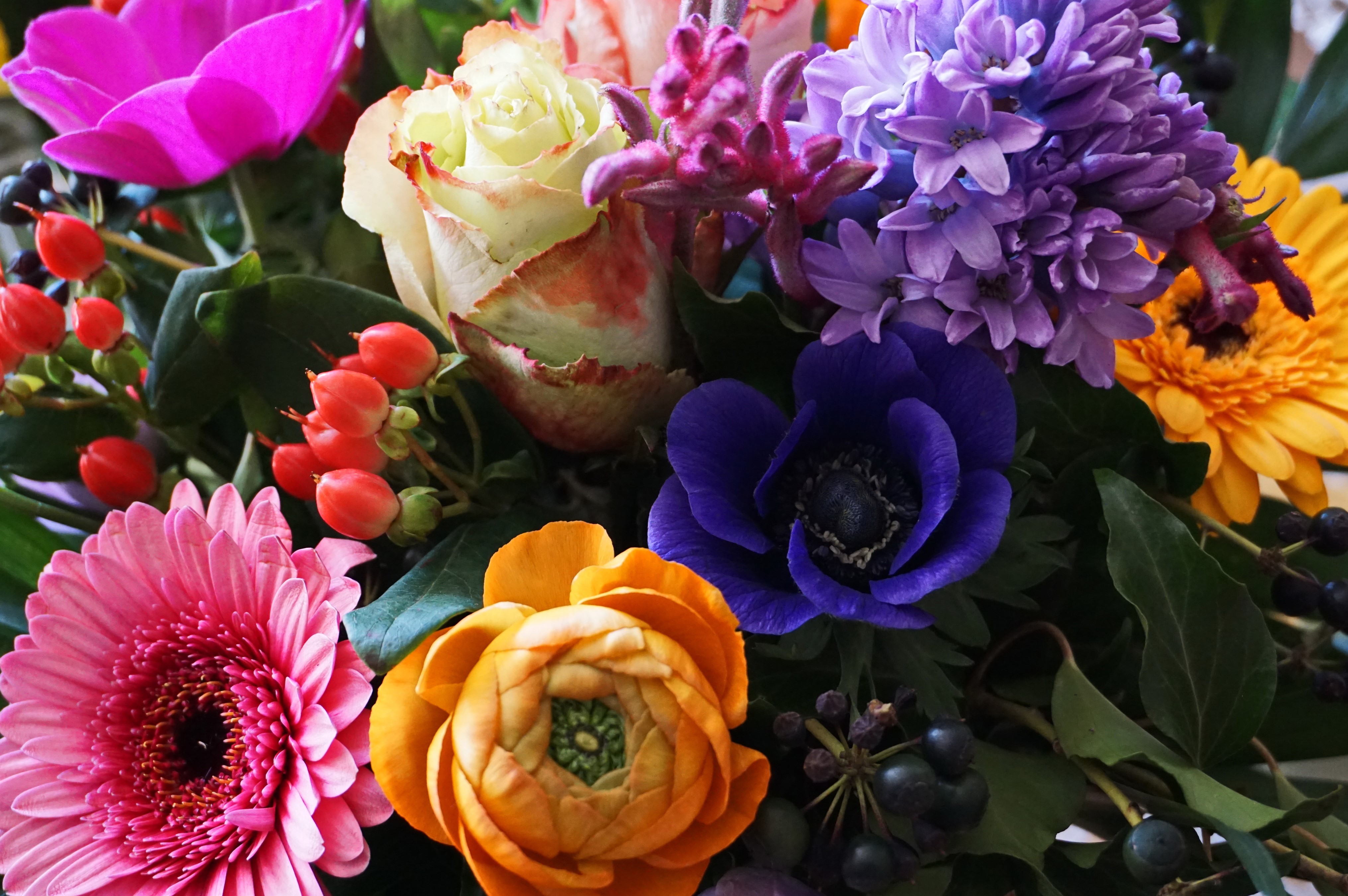 4K Anemones, Gerberas, Roses, Ranunculus, Hyacinths HD Wallpaper