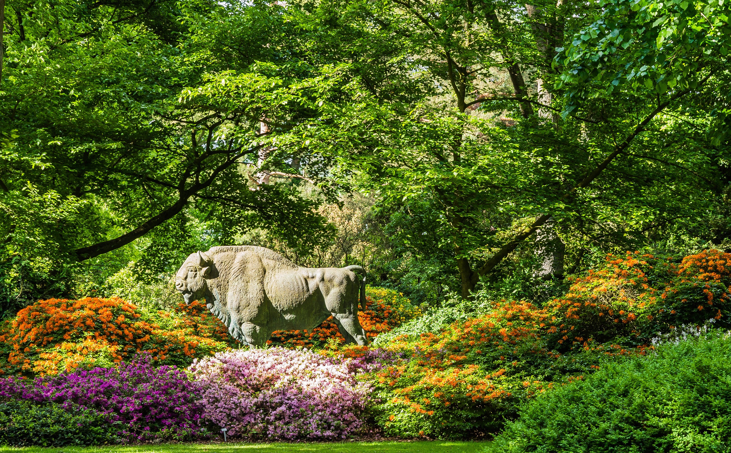 American bison sculpture in Bremen Rhododendronpark, Germany HD Wallpaper