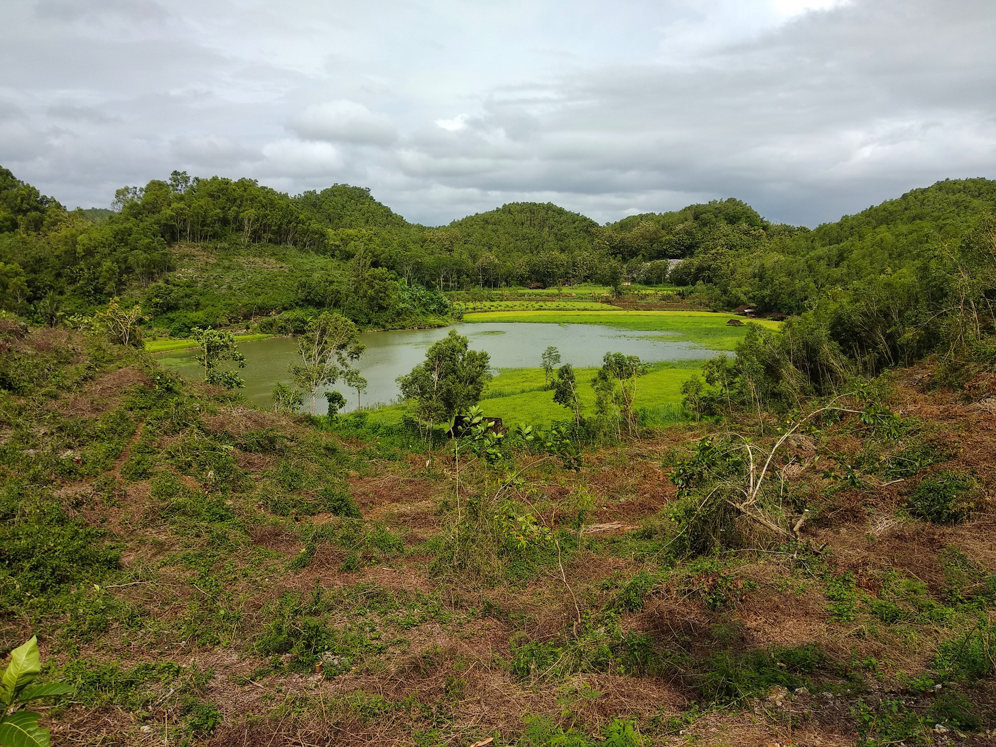 Lake and hills in Yogyakarta, Indonesia HD Wallpaper