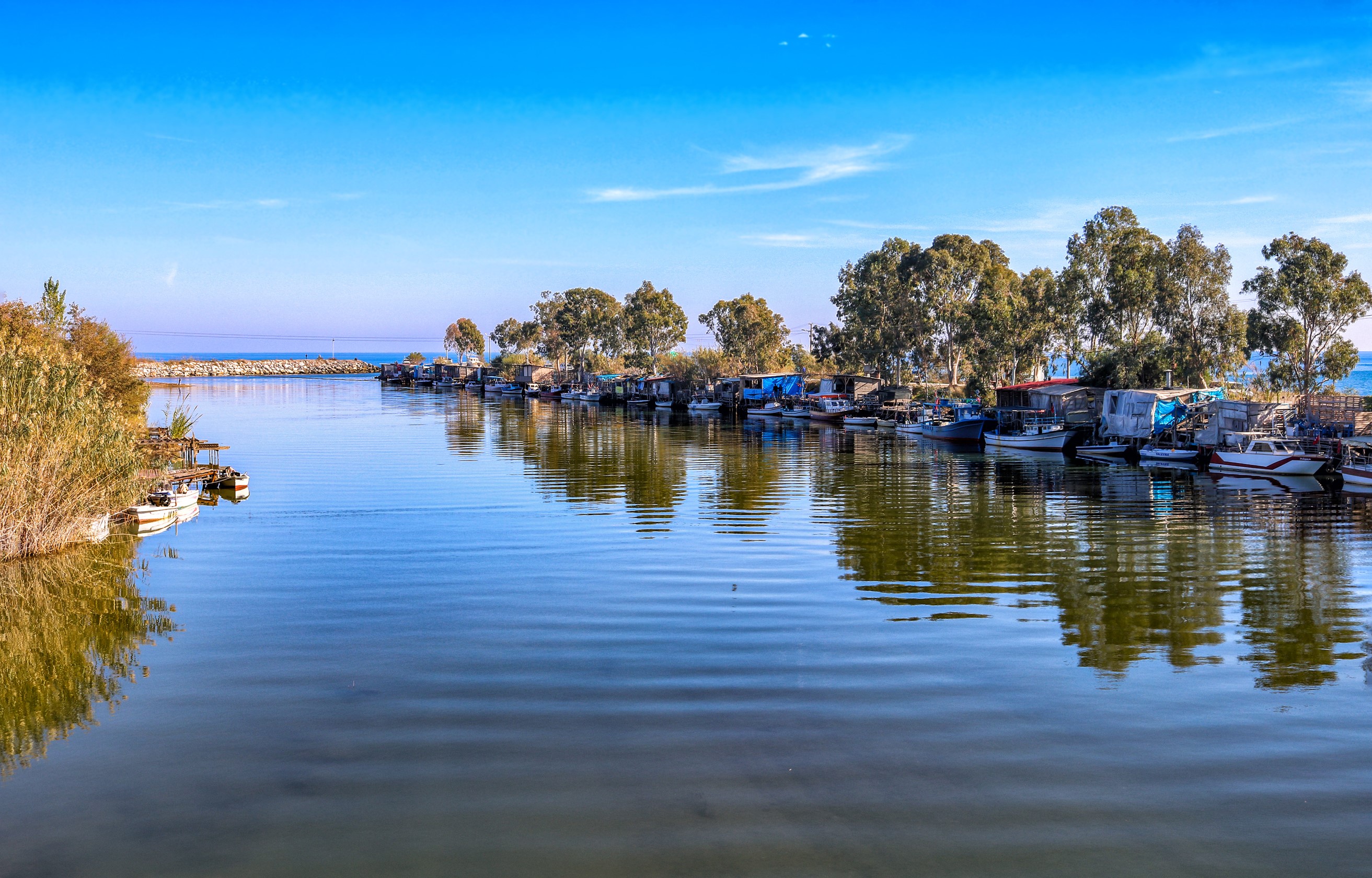 Boats docked along a riverbank with trees and the sea in the background HD Wallpaper