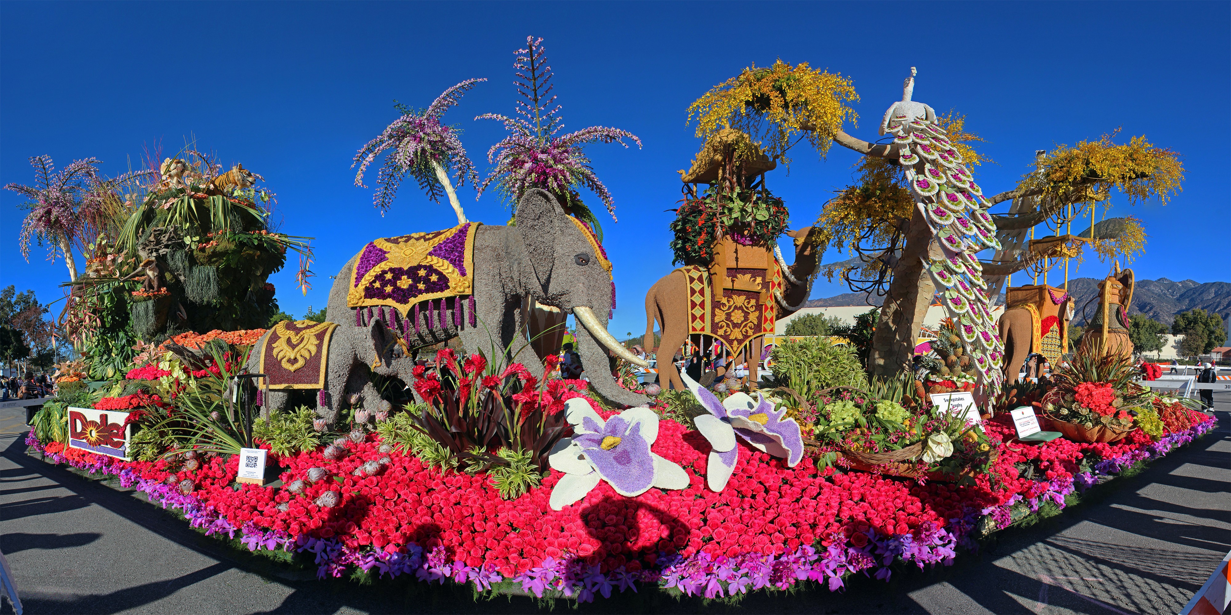 Dole Elephant Float in Pasadena, California HD Wallpaper