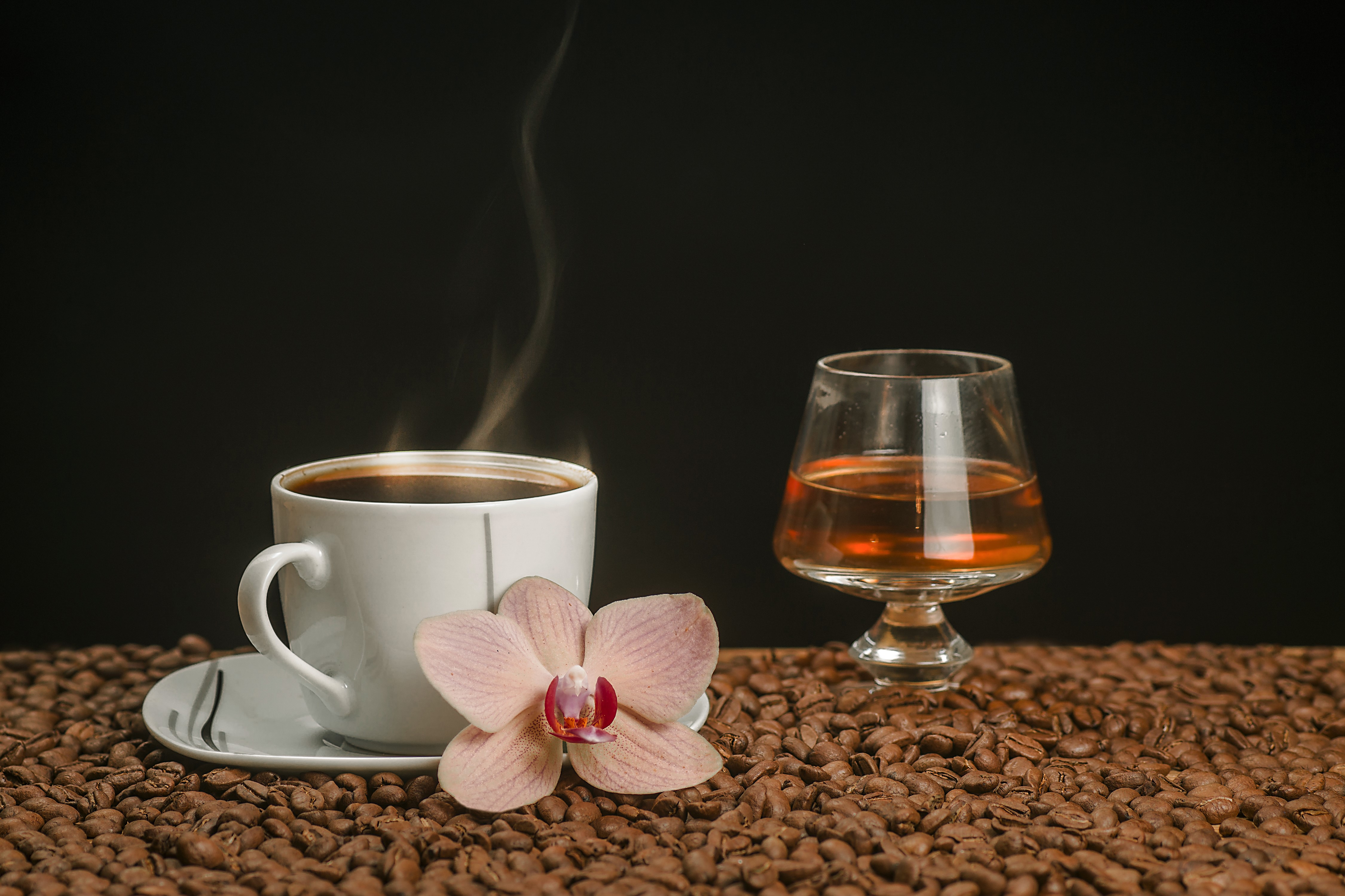 Coffee cup with orchid and alcoholic drink on coffee beans HD Wallpaper