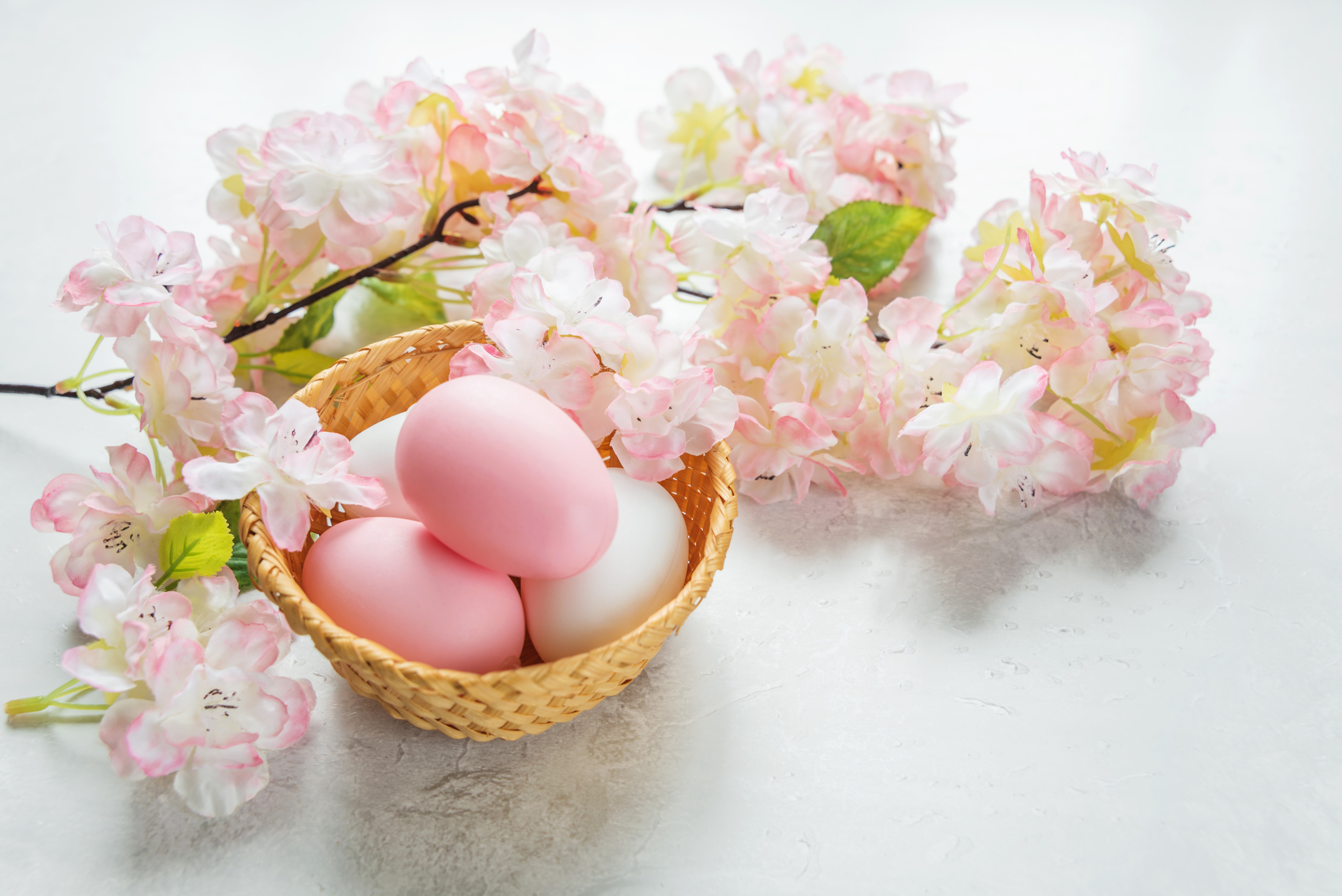 Easter eggs in a basket with cherry blossoms HD Wallpaper