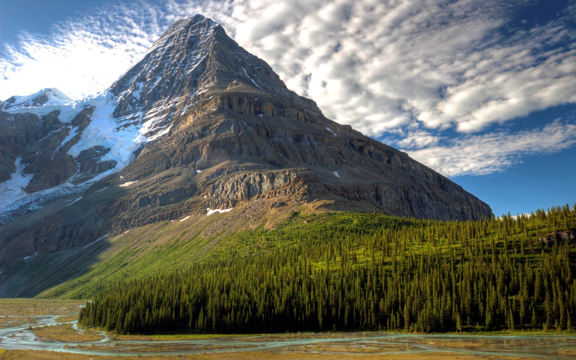 Mountain with glacier and forest HD Wallpaper