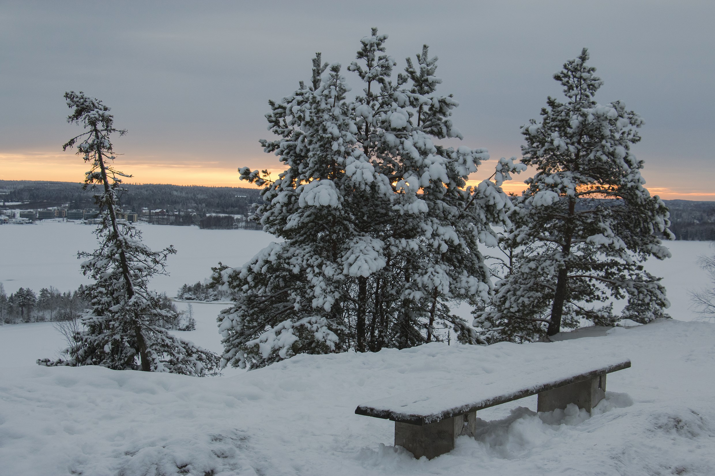 Snow-covered trees and bench overlooking a frozen lake at sunset in Tampere, Finland HD Wallpaper