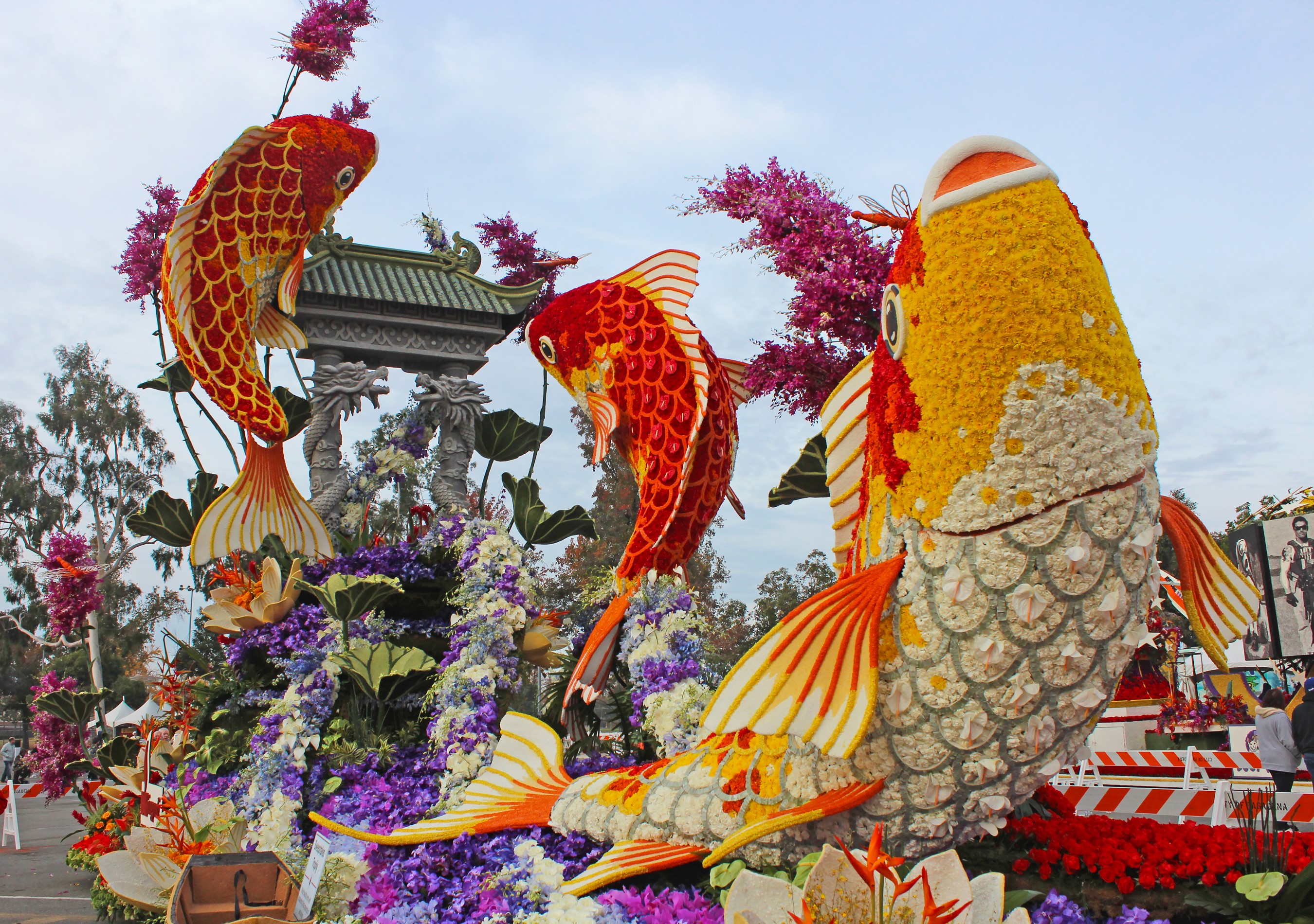 Koi fish float decorated with flowers HD Wallpaper