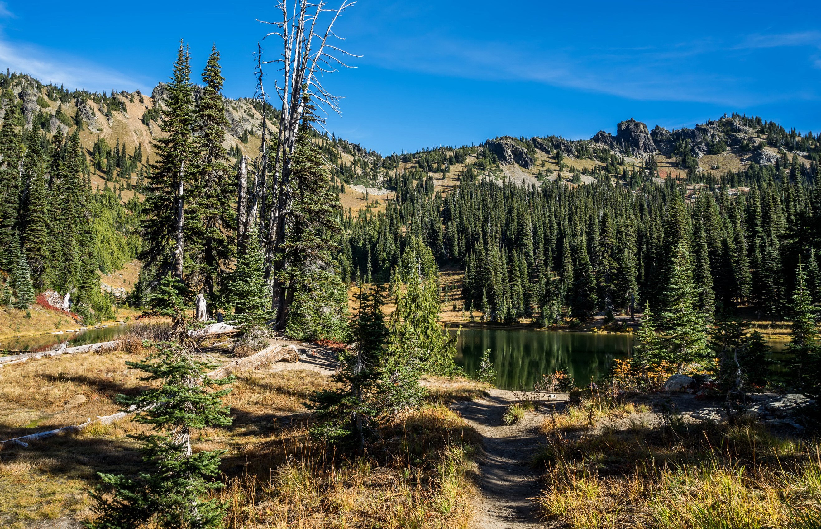 Mountain lake with pine trees and rocky peaks HD Wallpaper
