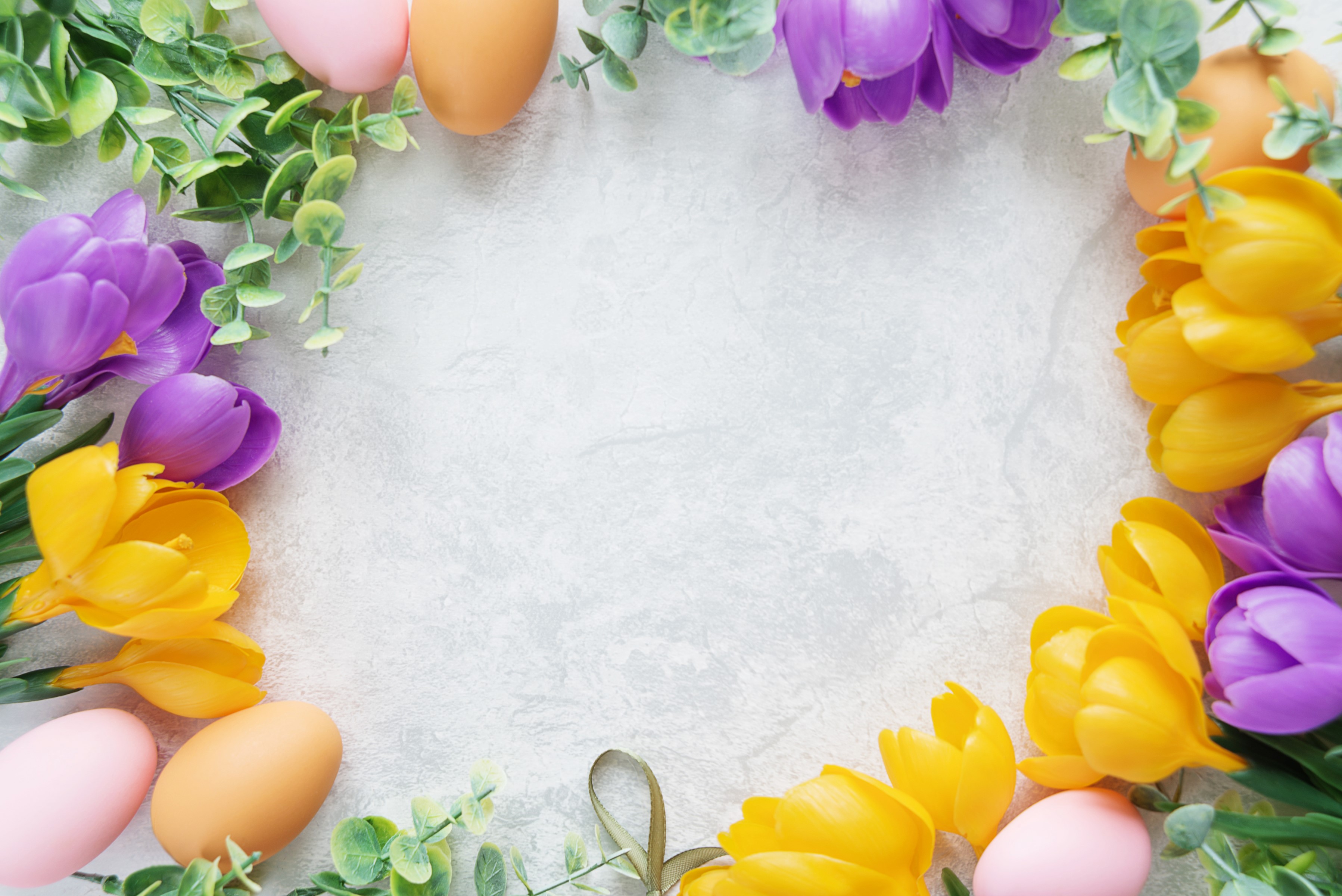Easter Eggs and Crocuses Template Greeting Card HD Wallpaper