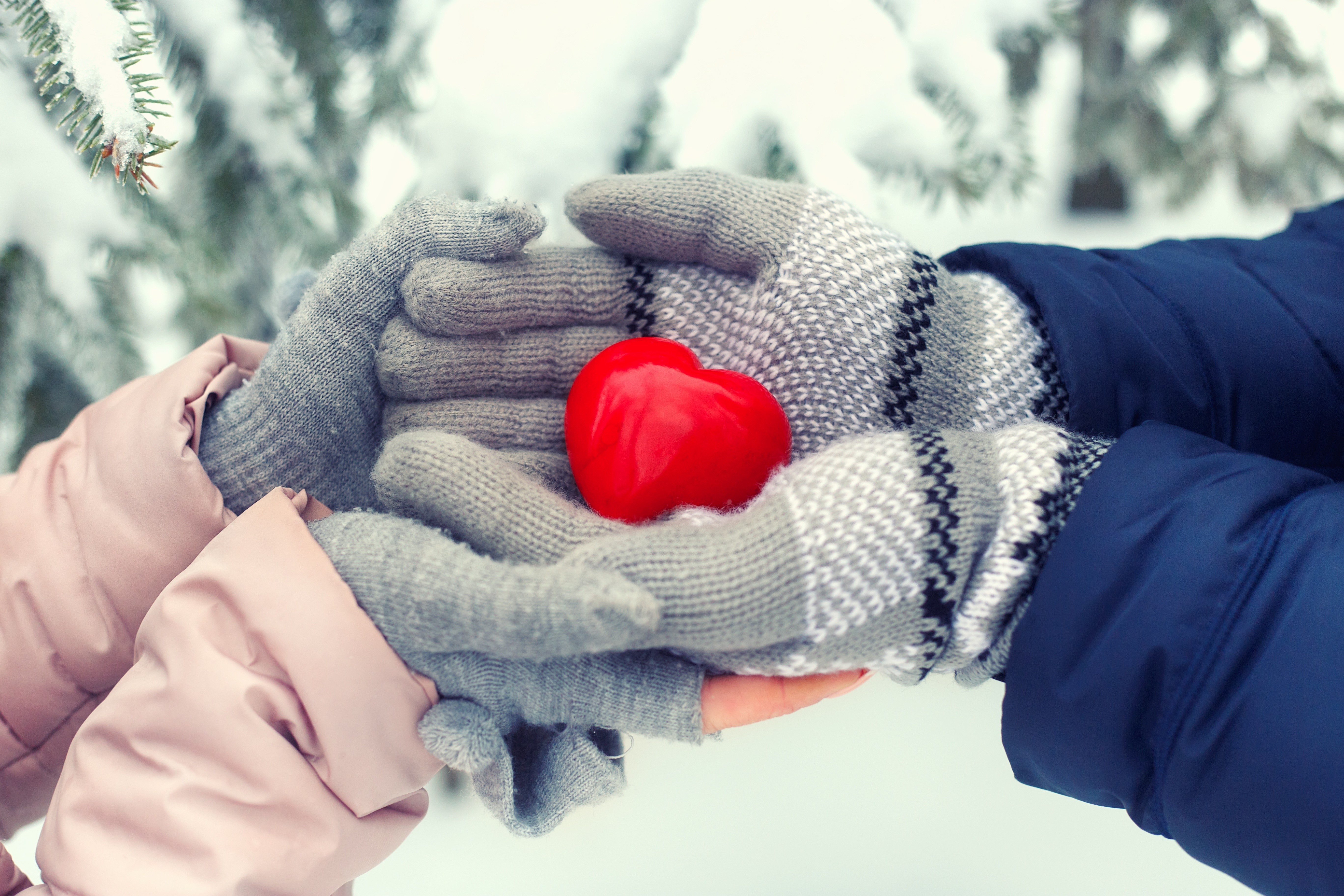 Hands holding a red heart in winter HD Wallpaper