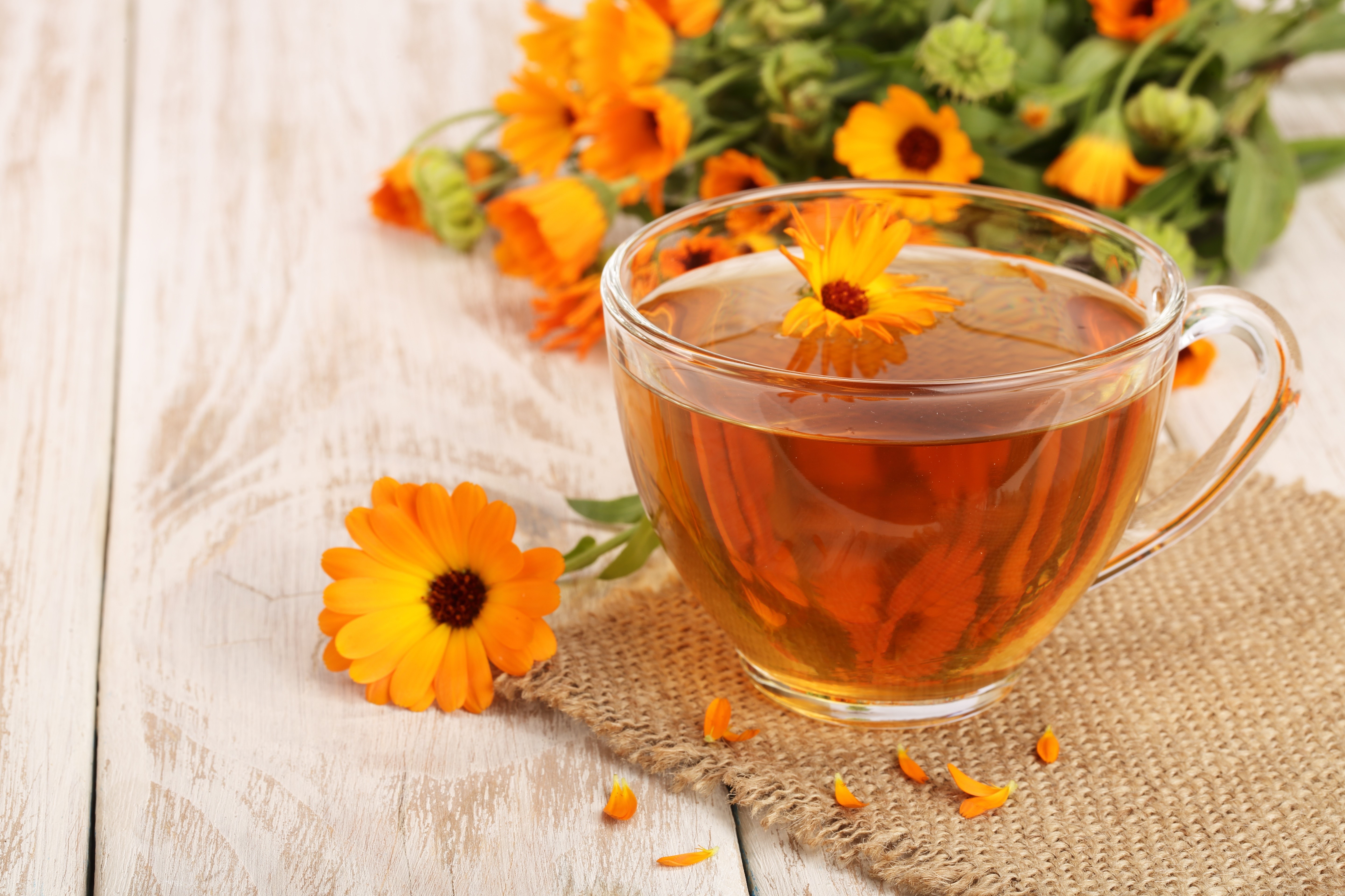 Cup of Tea with Calendula Flowers HD Wallpaper