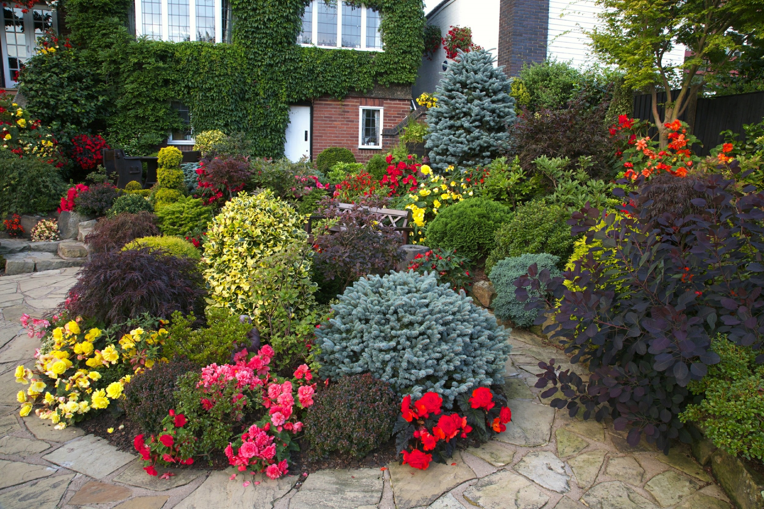 Walsall Garden with Roses and Shrubs in England HD Wallpaper