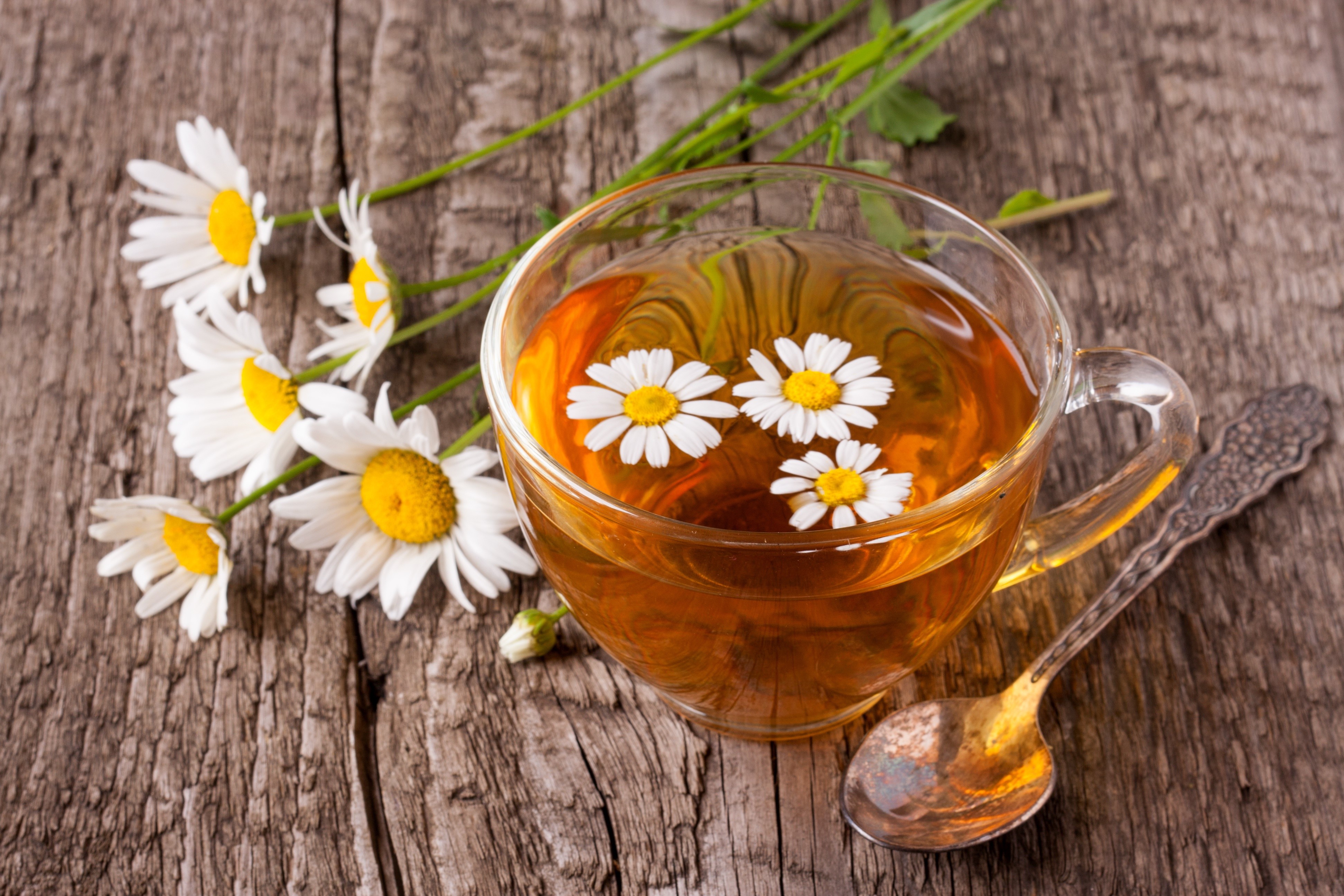 Chamomile tea in a cup with chamomile flowers and a spoon HD Wallpaper