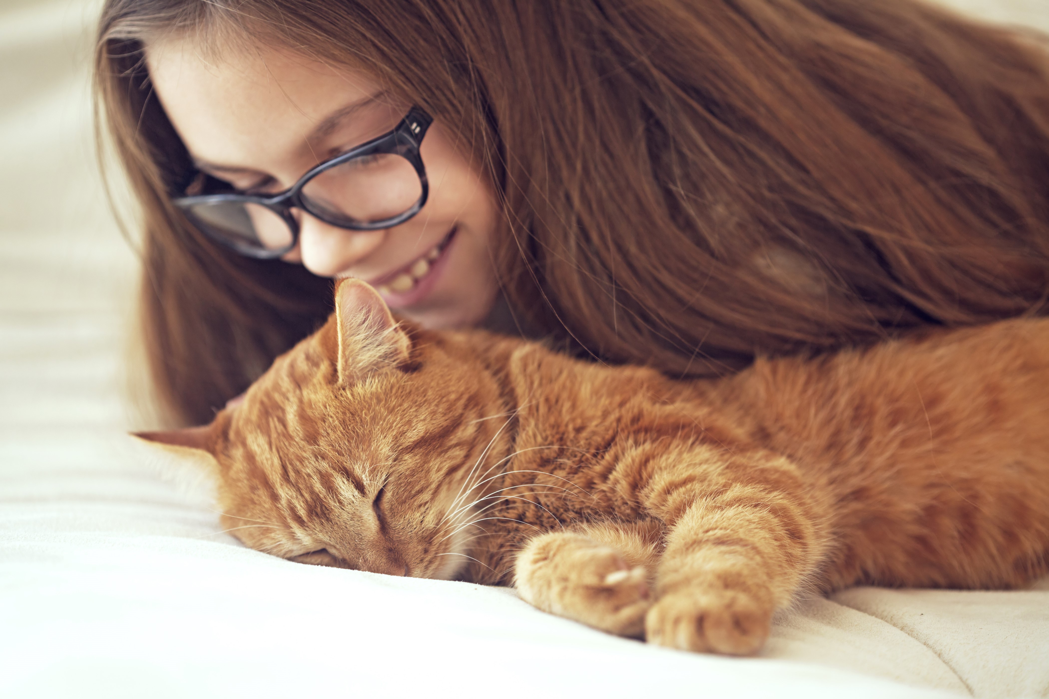 Girl with Ginger Cat Sleeping HD Wallpaper