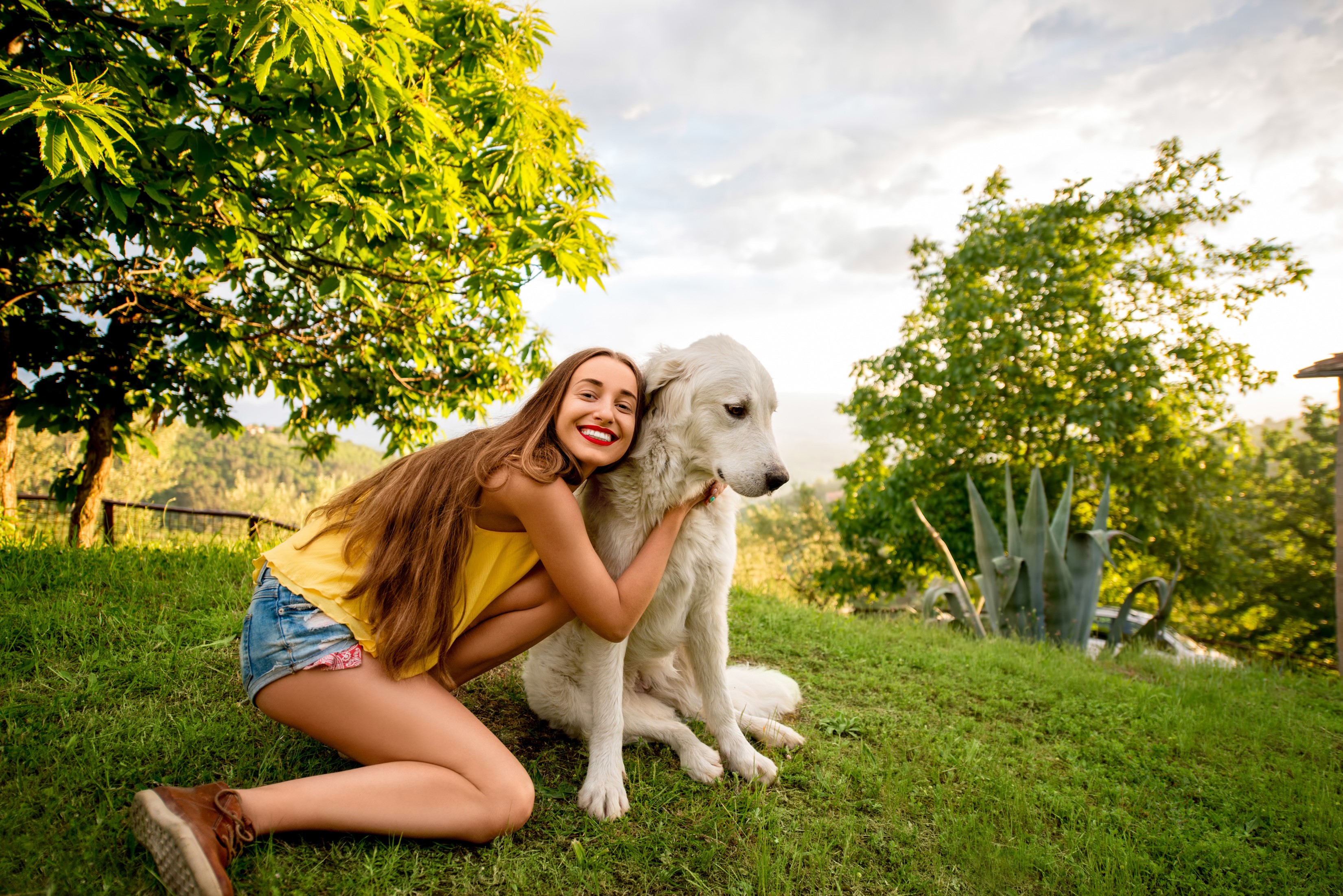 Young woman hugging a white dog outdoors HD Wallpaper