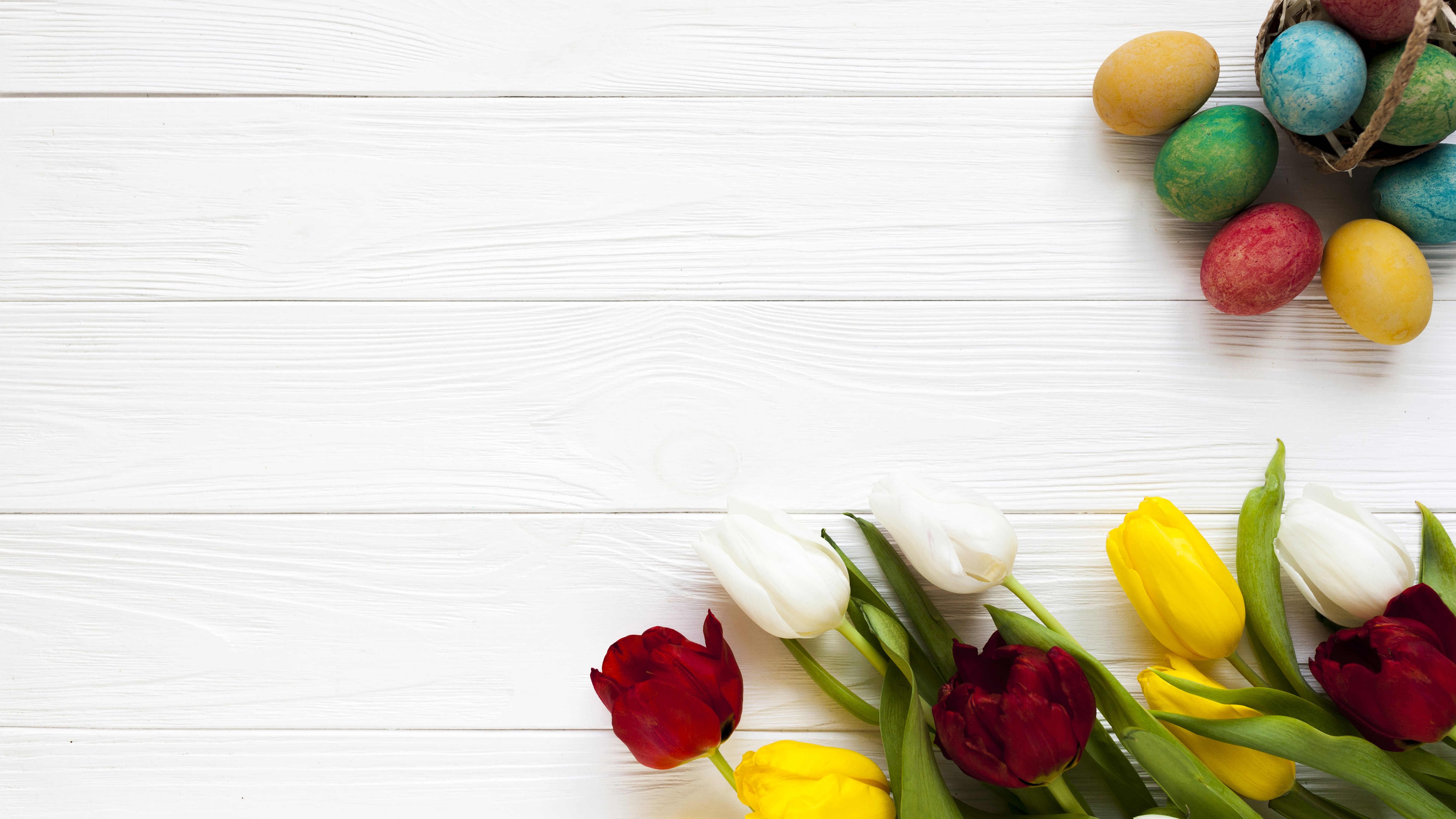 Easter Eggs and Tulips on White Wood Planks HD Wallpaper