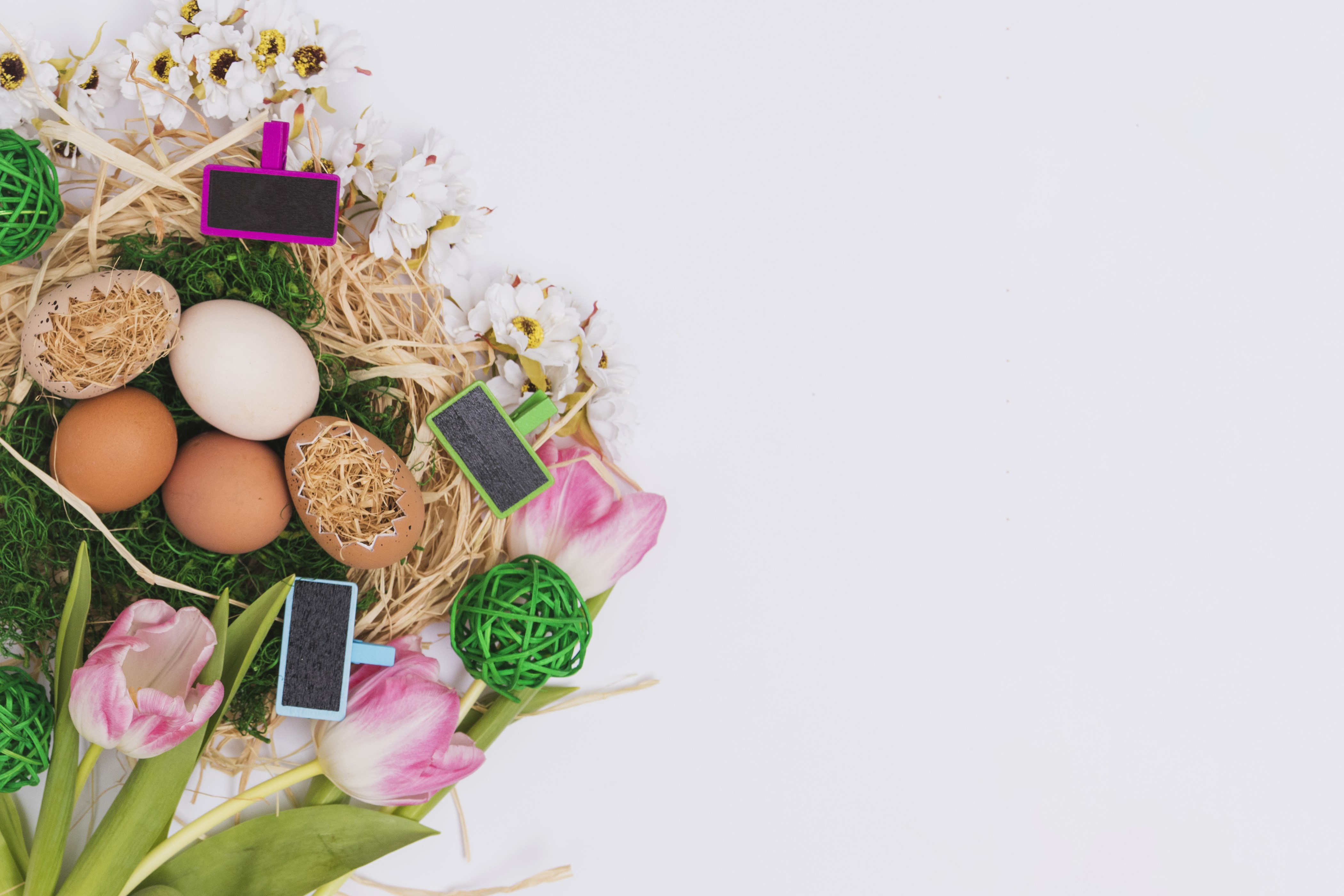 Easter eggs and tulips on a white background HD Wallpaper