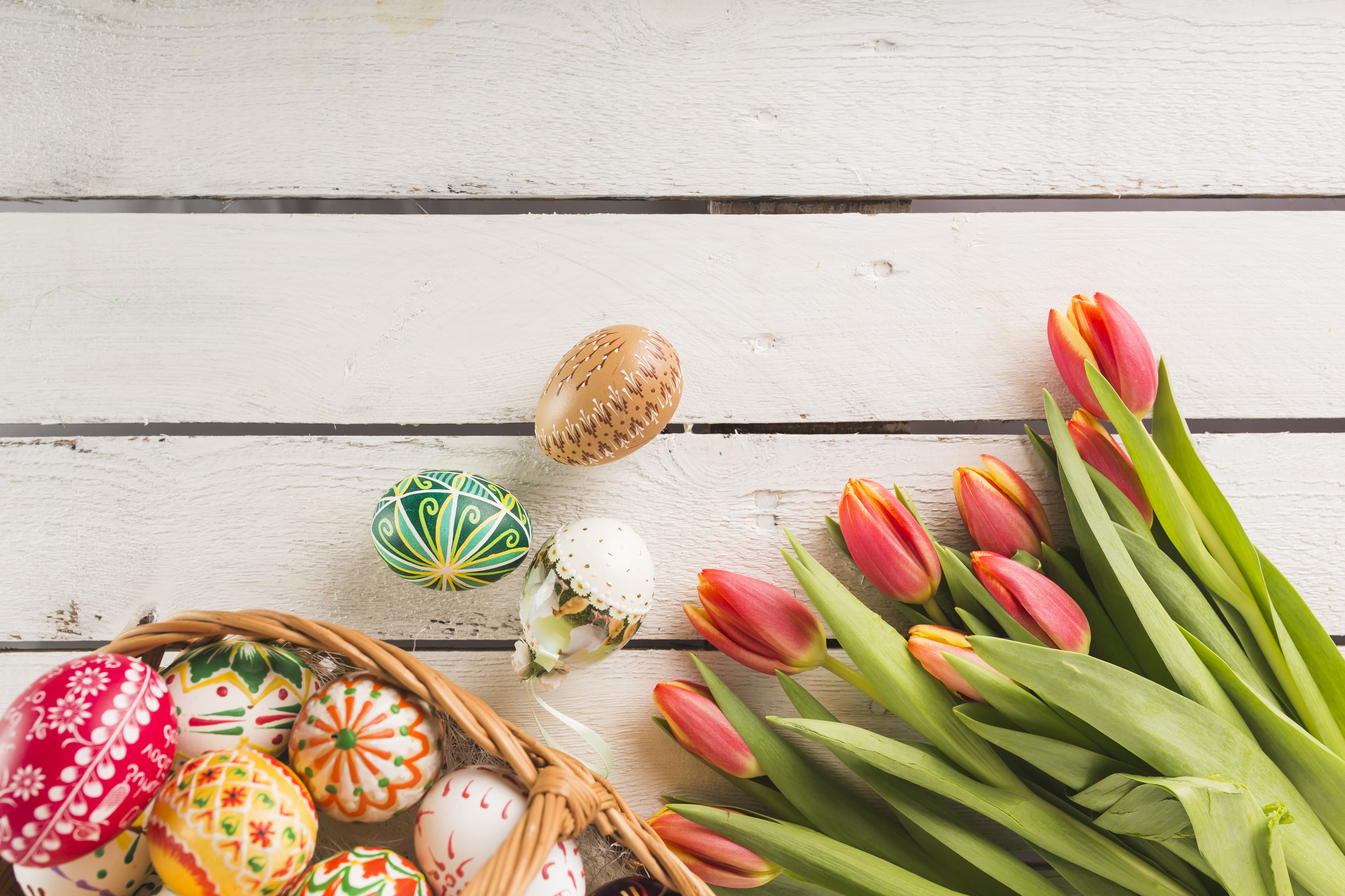 Easter eggs and tulips on wood planks HD Wallpaper