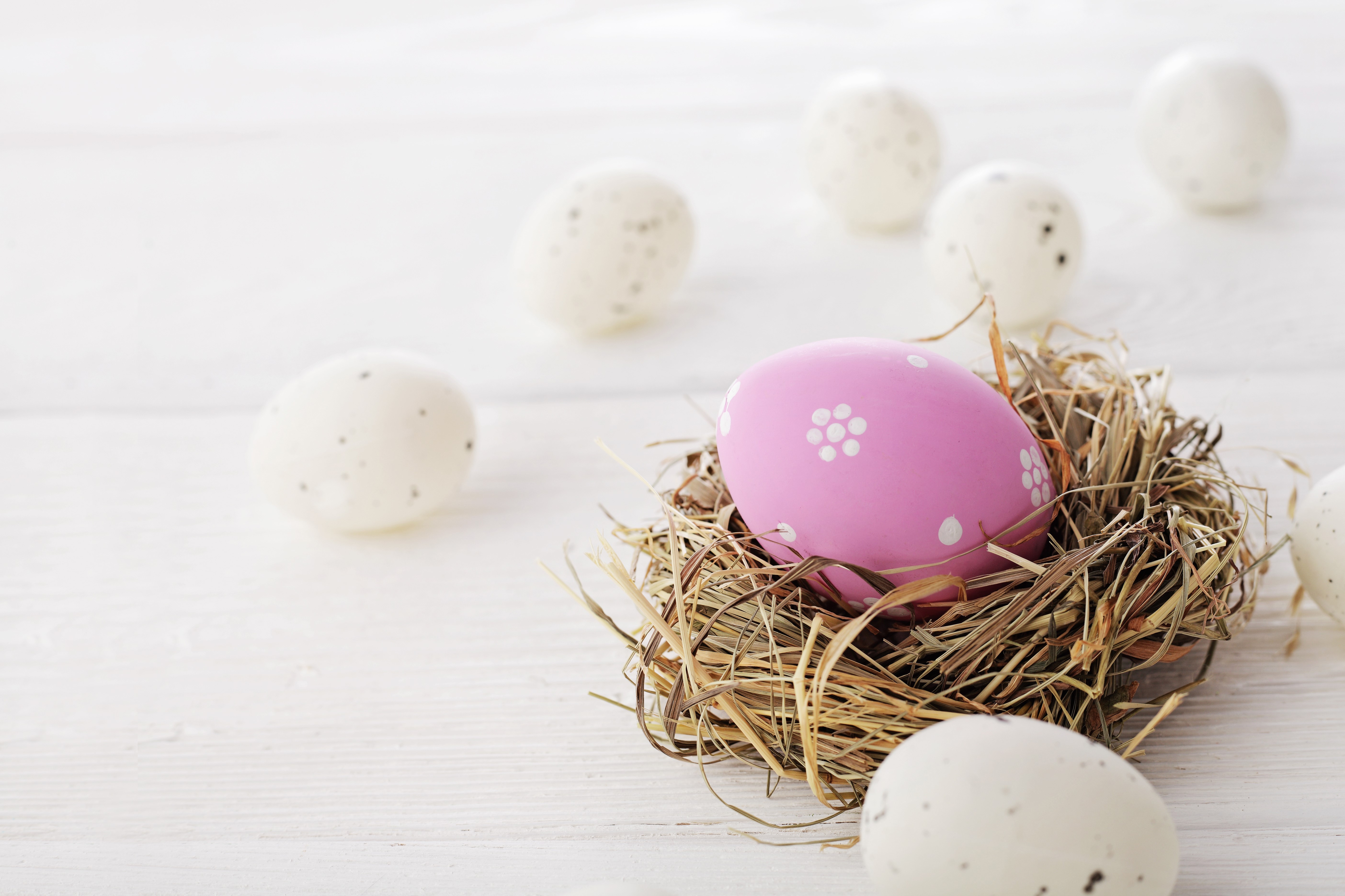 Easter Eggs in a Nest HD Wallpaper