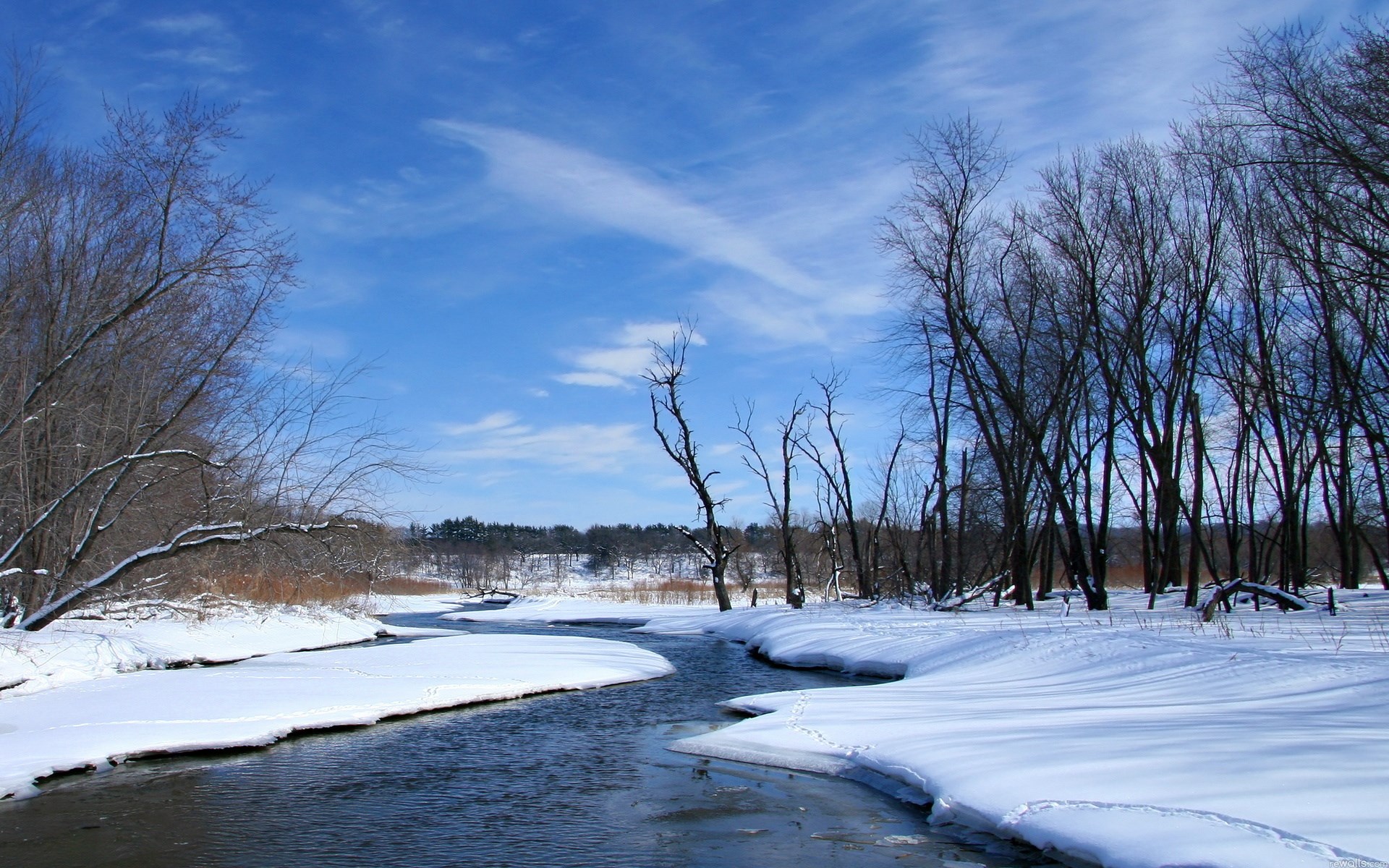 Winter river scene with snow and bare trees HD Wallpaper