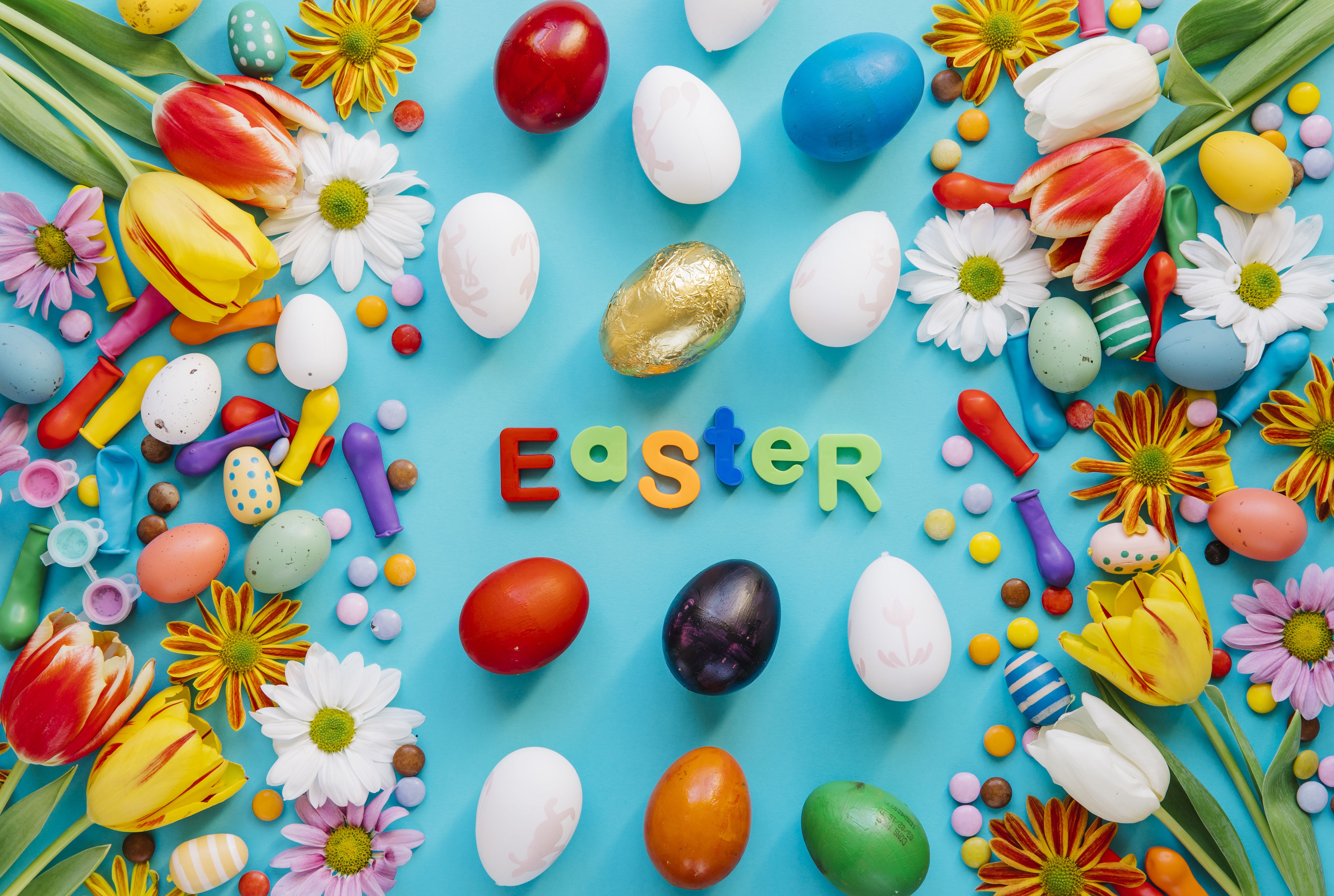 Easter eggs, tulips, and chrysanthemums on a blue background HD Wallpaper