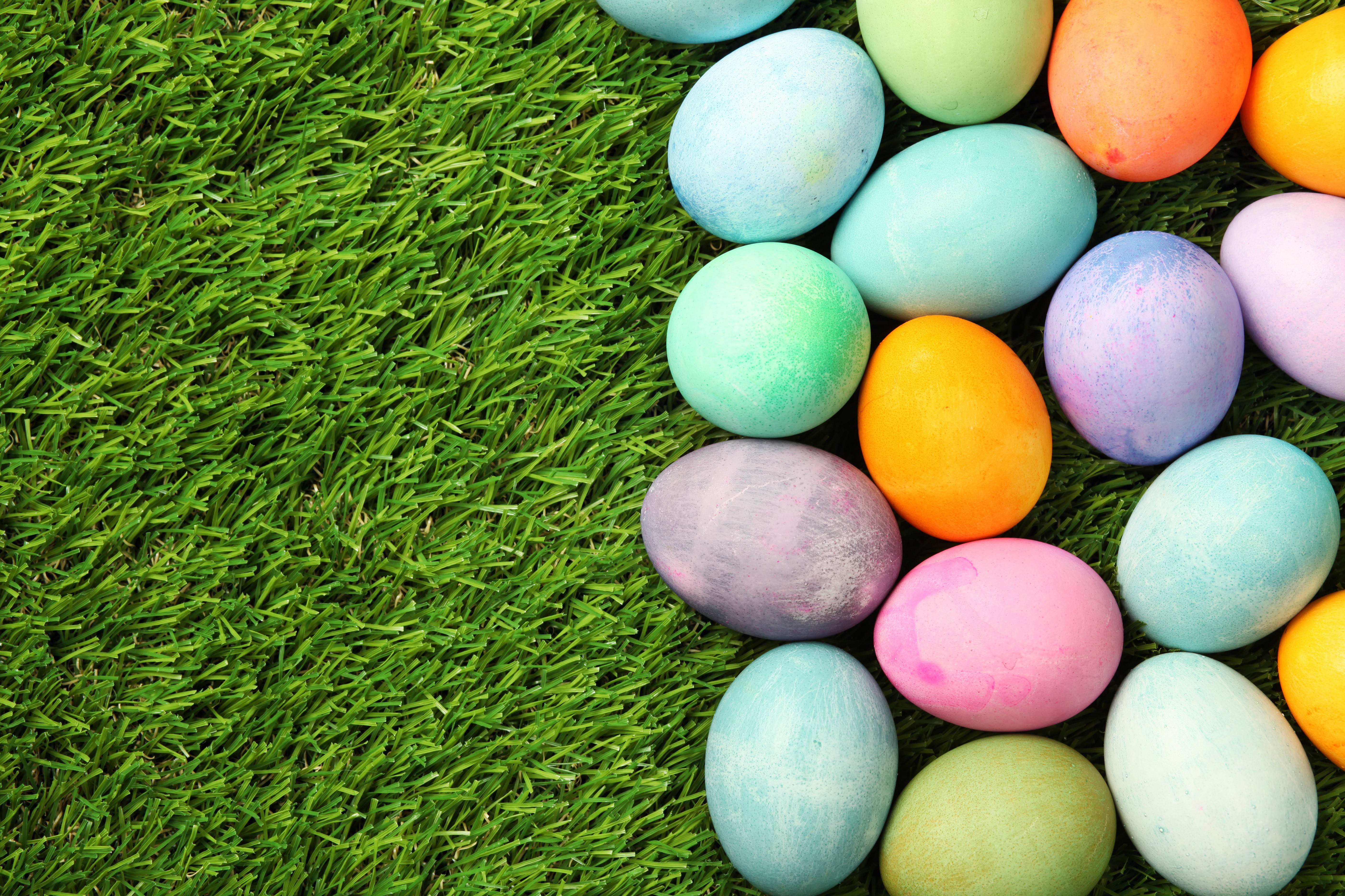 Easter Eggs on Green Grass HD Wallpaper