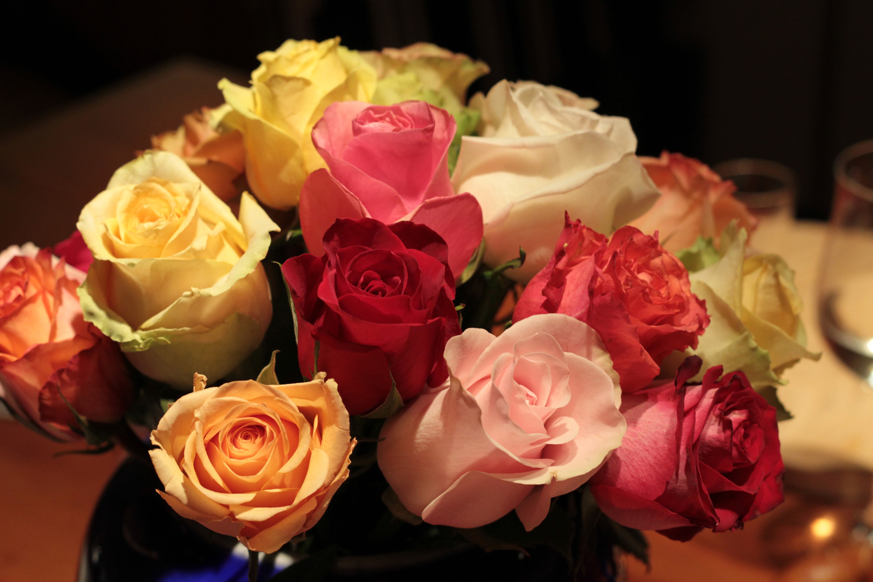 Multicolor roses in a bouquet HD Wallpaper