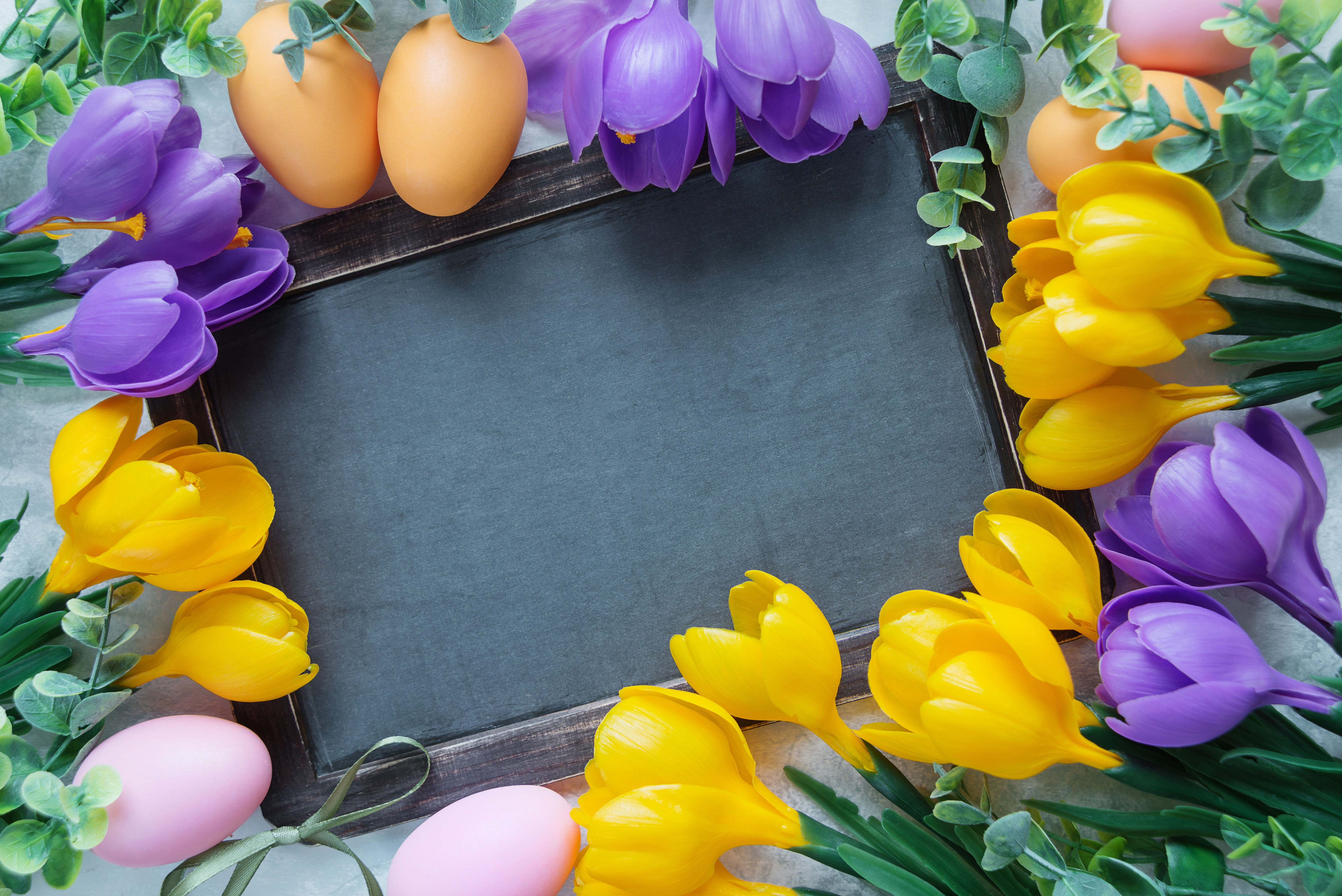 Easter eggs and crocuses around a chalkboard template HD Wallpaper