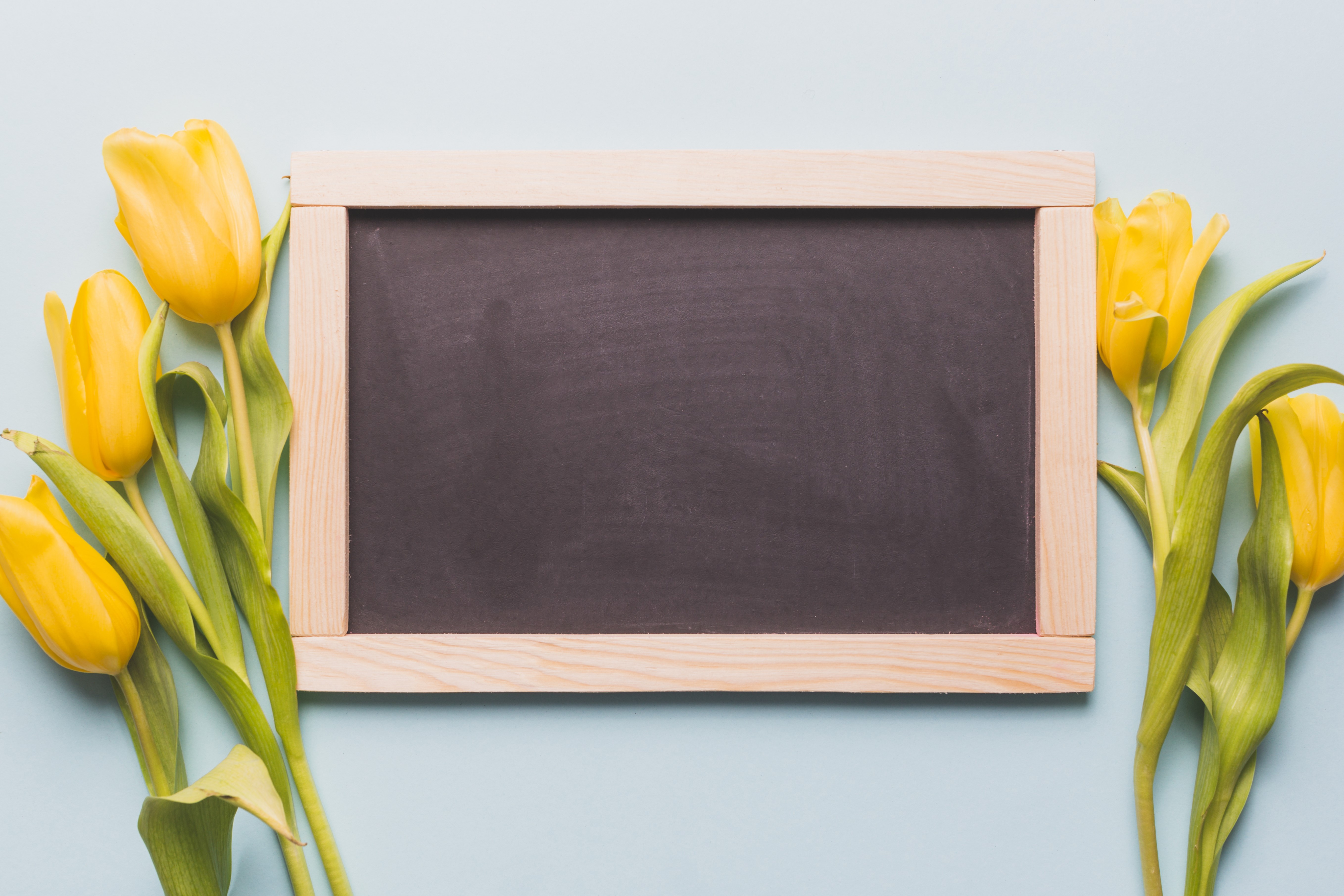 Yellow Tulips and Blackboard Template HD Wallpaper
