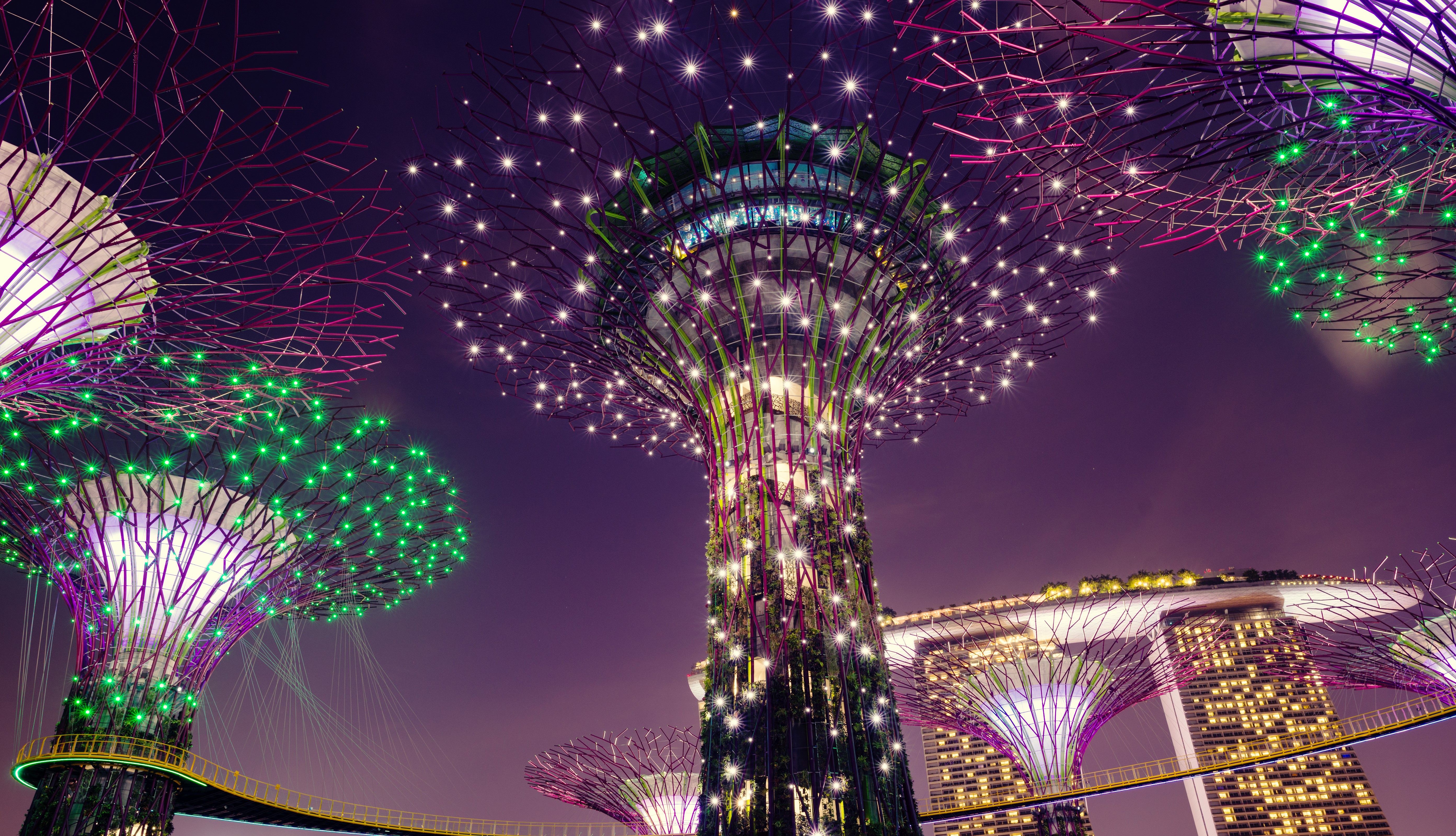 Gardens by the Bay Singapore at night with fairy lights HD Wallpaper