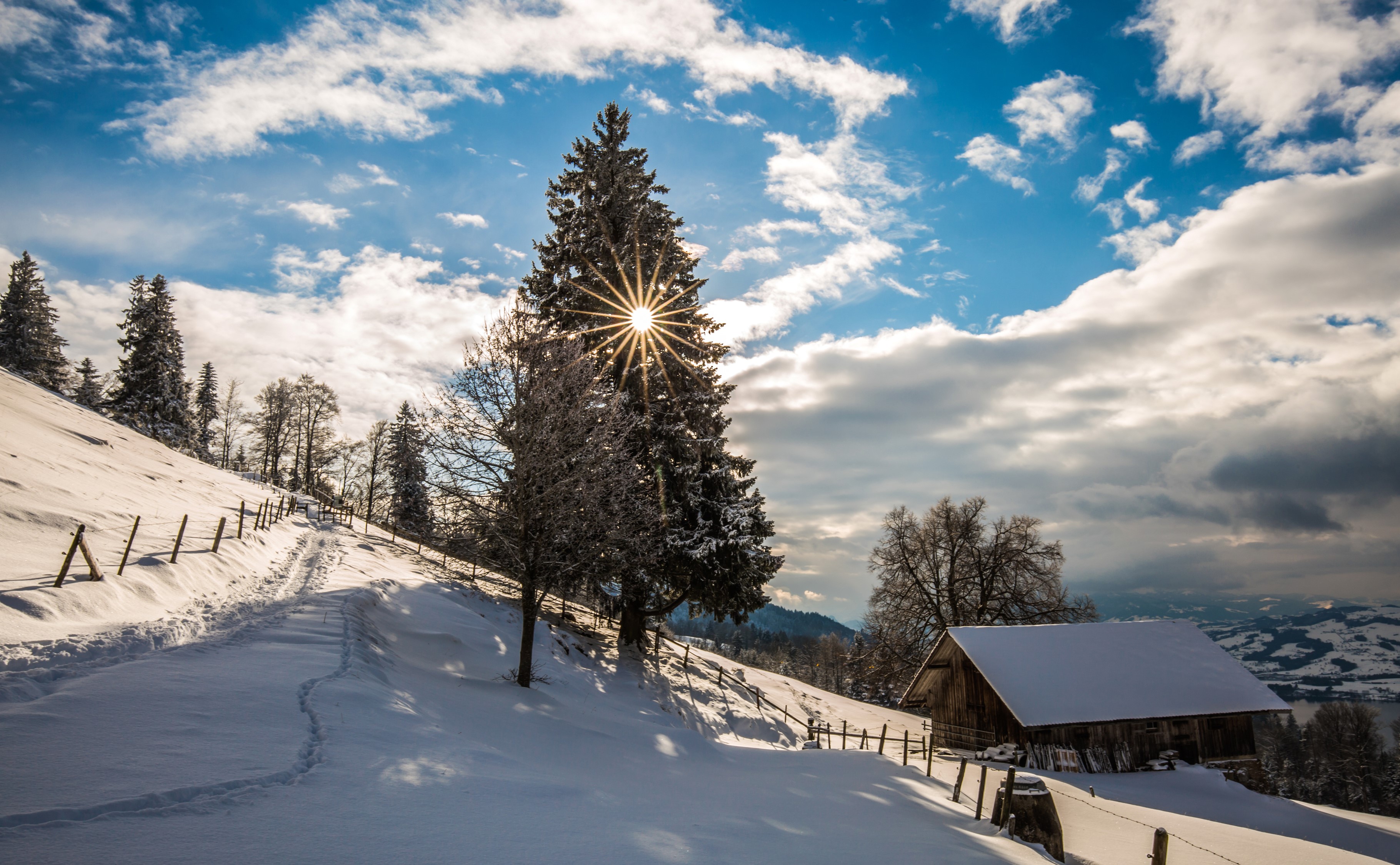 Winter landscape with snow-covered trees and a barn in Switzerland HD Wallpaper