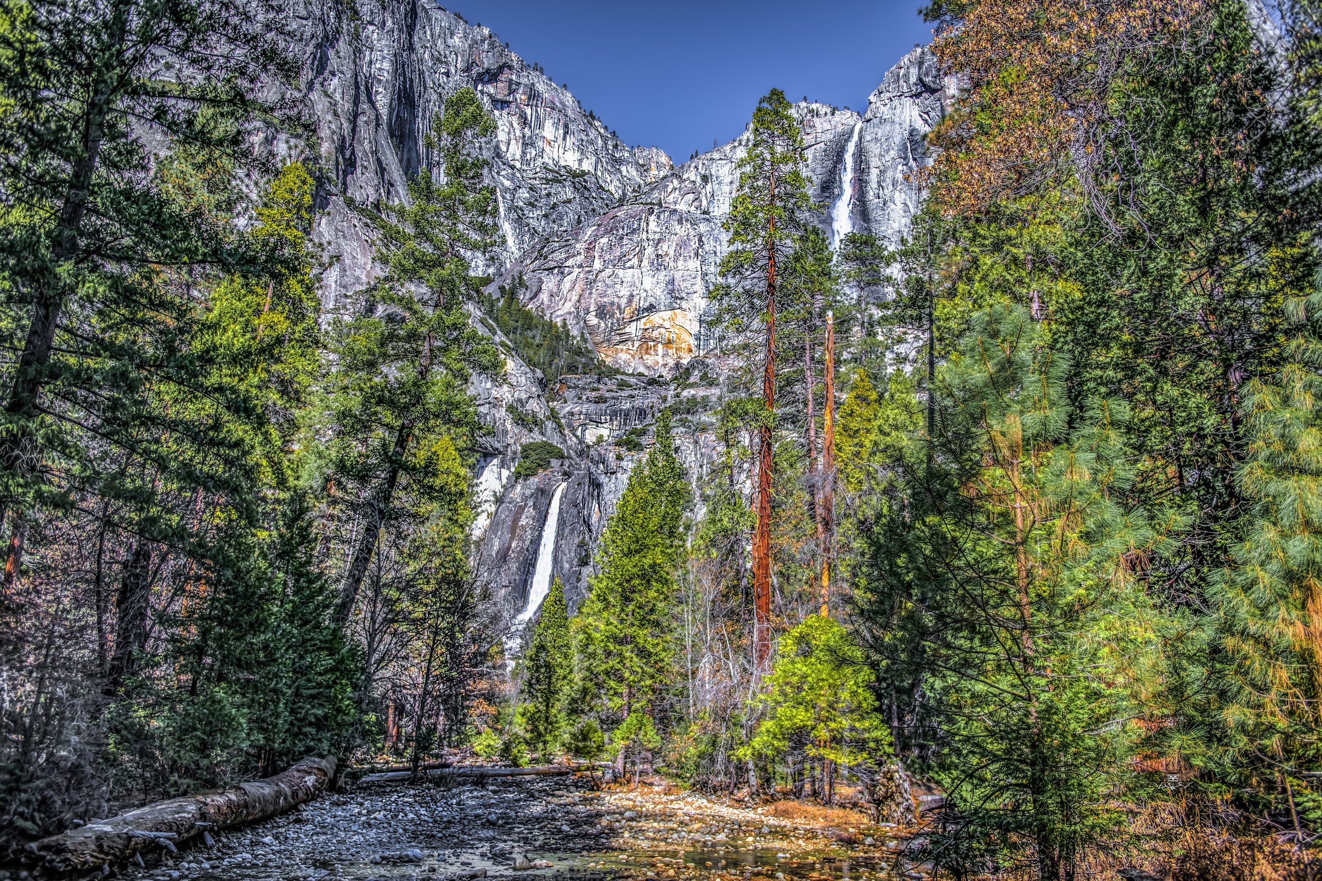 Yosemite National Park Waterfalls and Trees HD Wallpaper