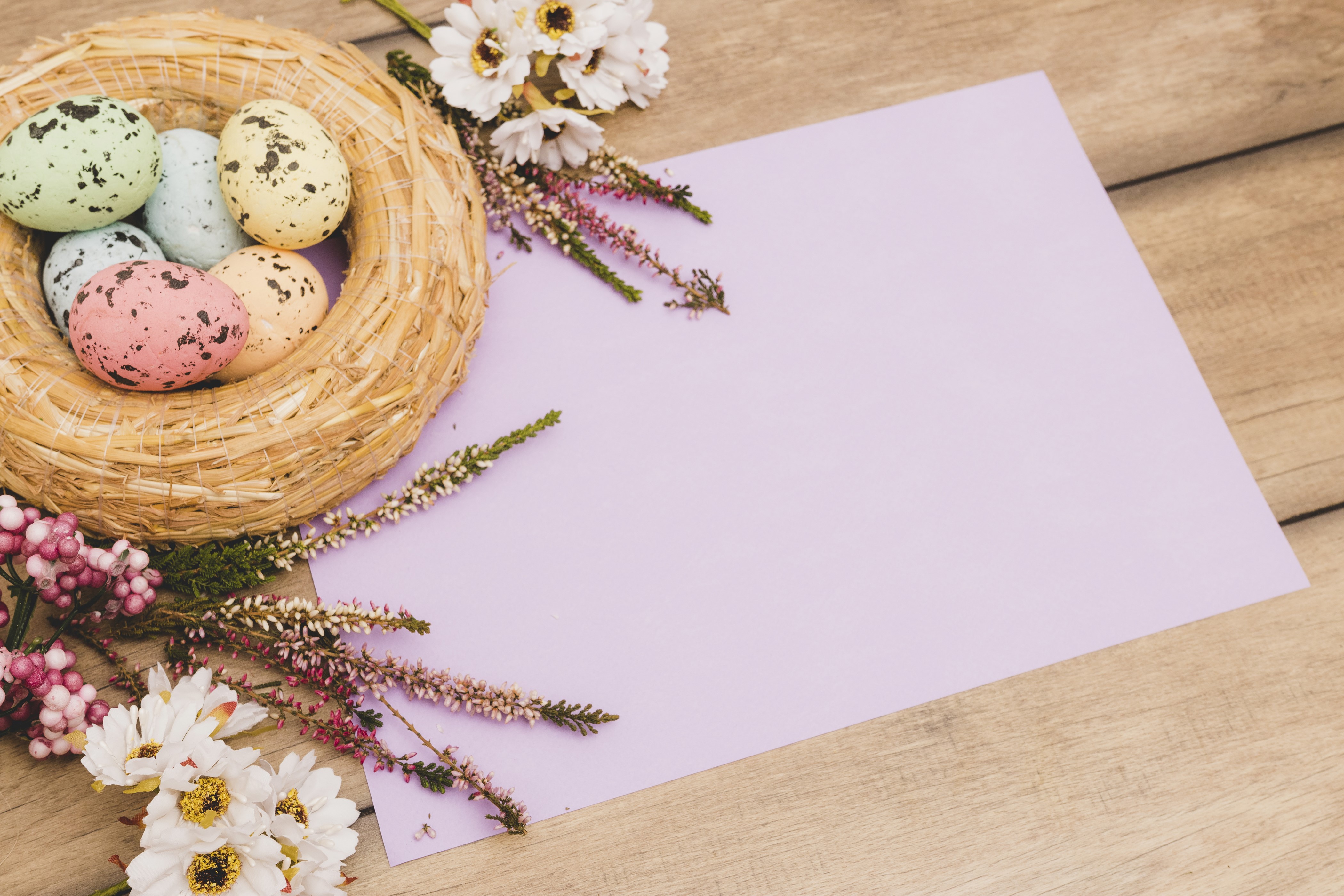 Easter nest with eggs and flowers on wooden background HD Wallpaper