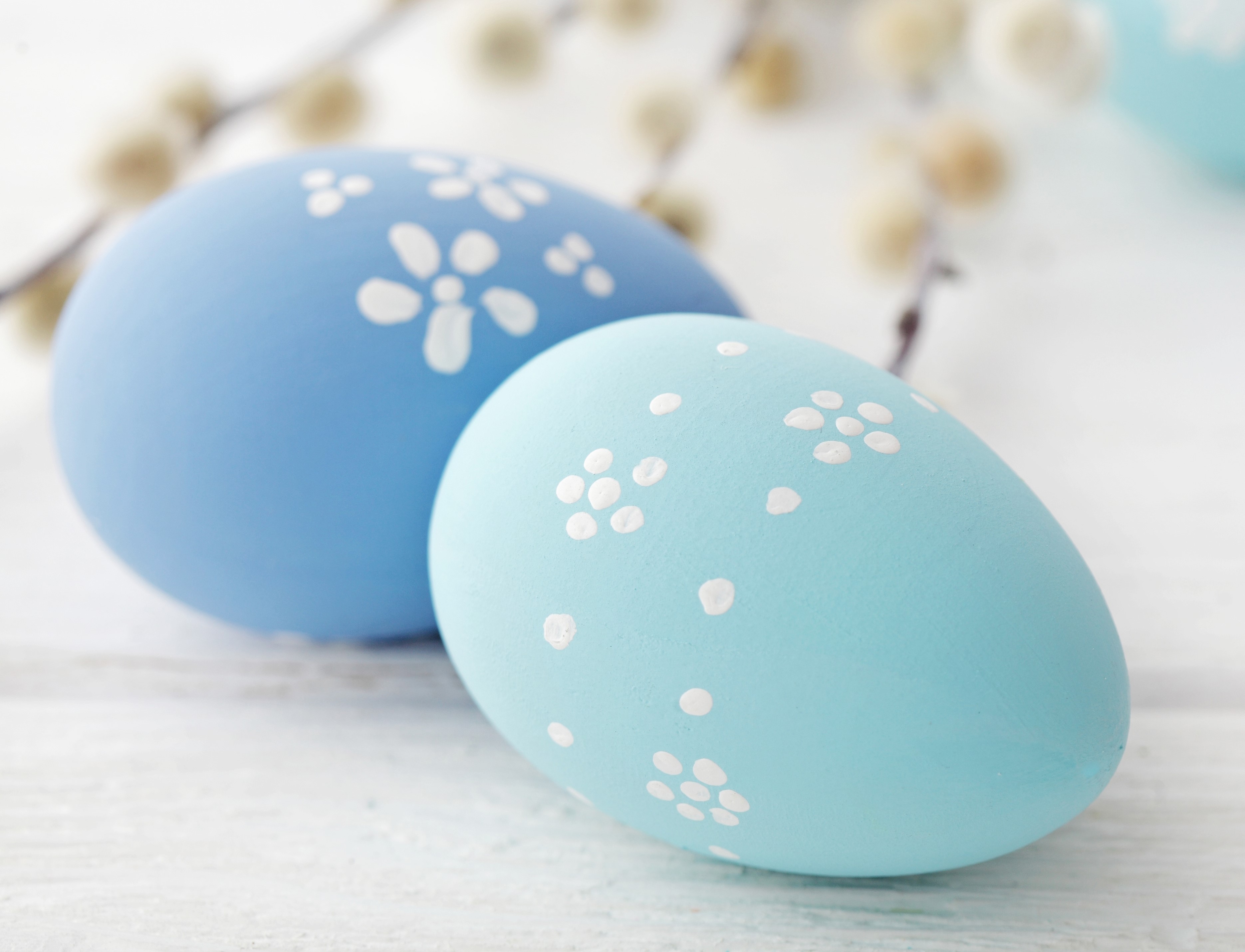 Easter eggs with pussy willow branches HD Wallpaper