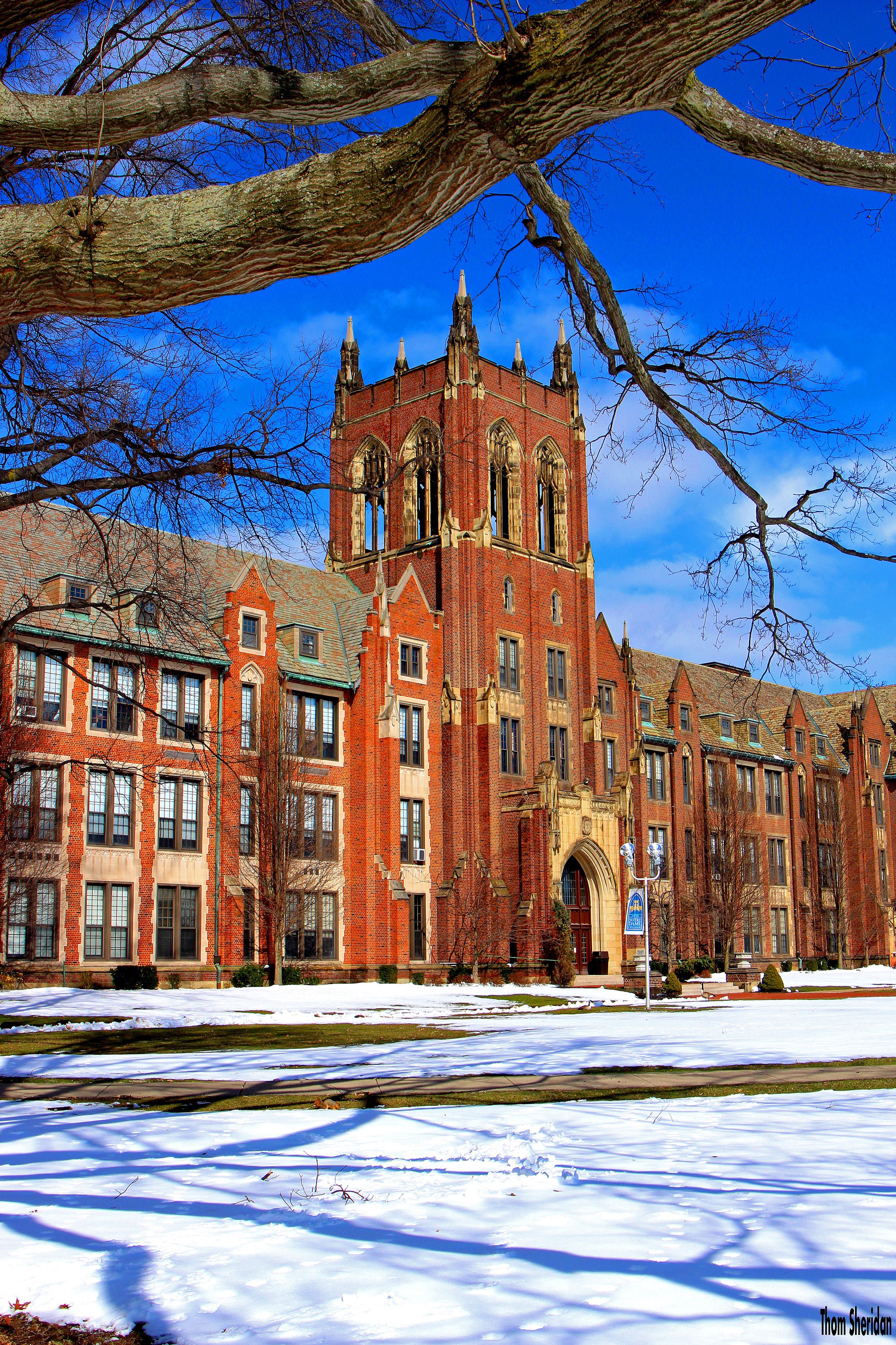 Brick University Building with Snow and Tree Branches HD Phone Wallpaper