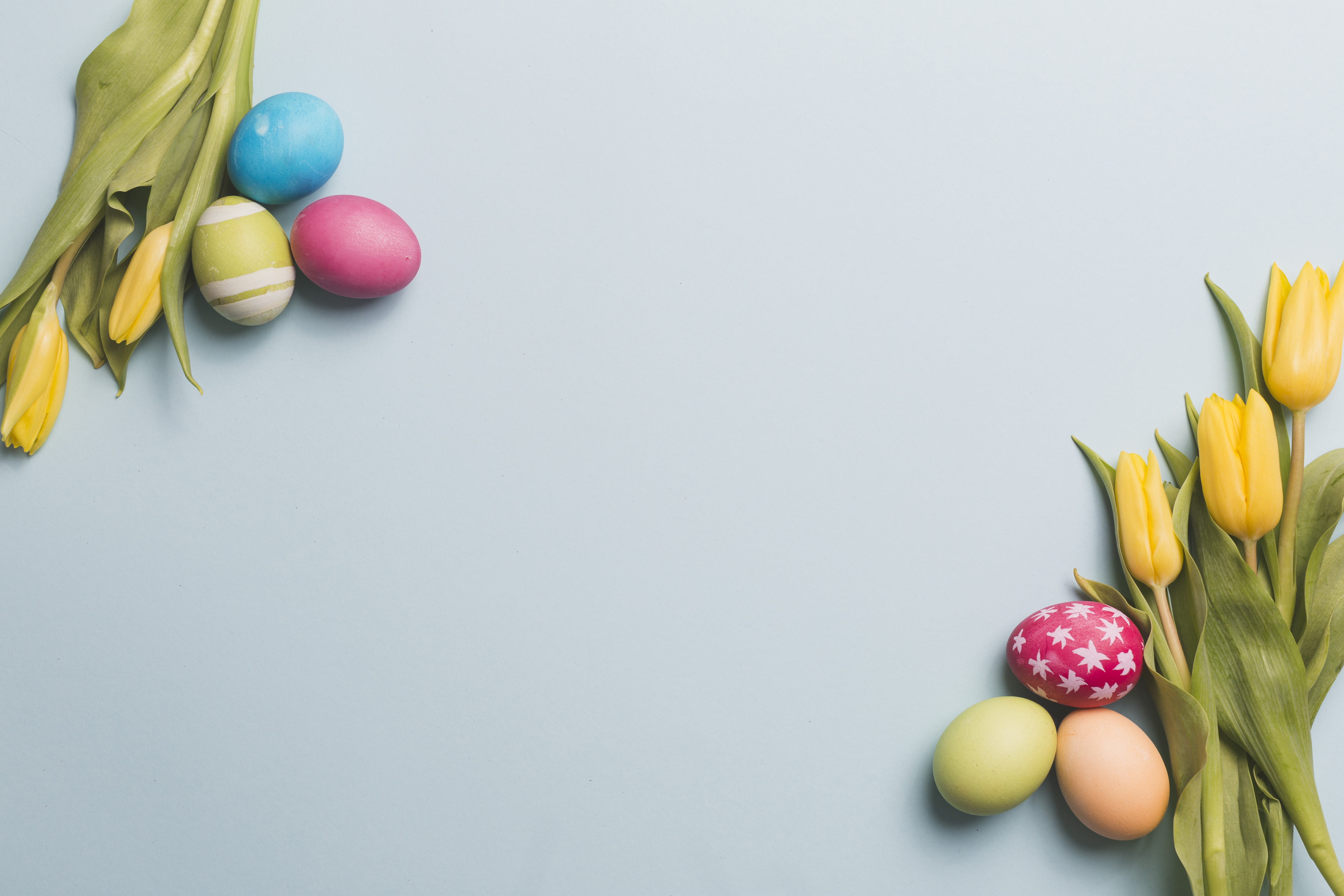 Easter Eggs and Yellow Tulips on Gray Background HD Wallpaper