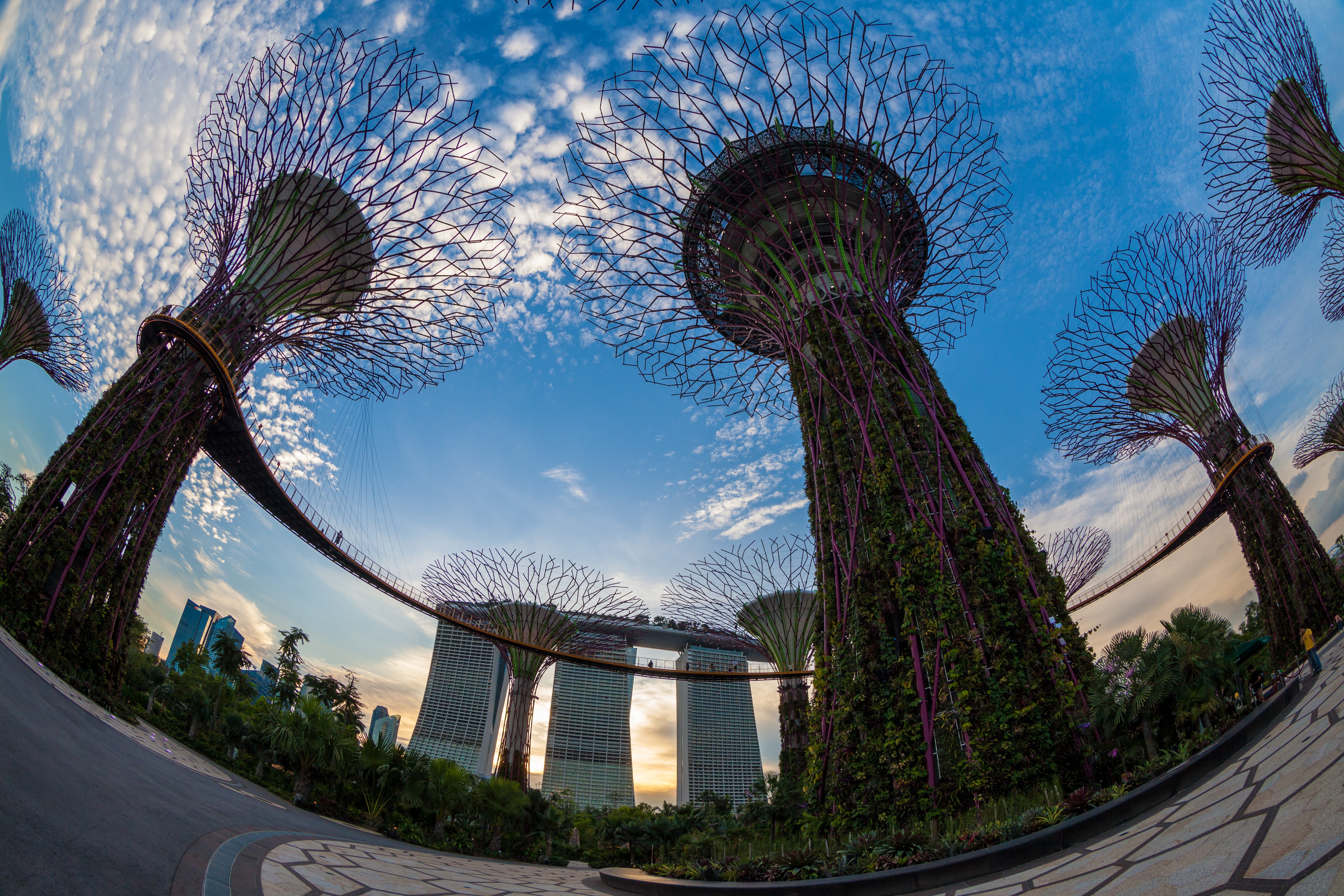 Gardens by the Bay, Singapore HD Wallpaper