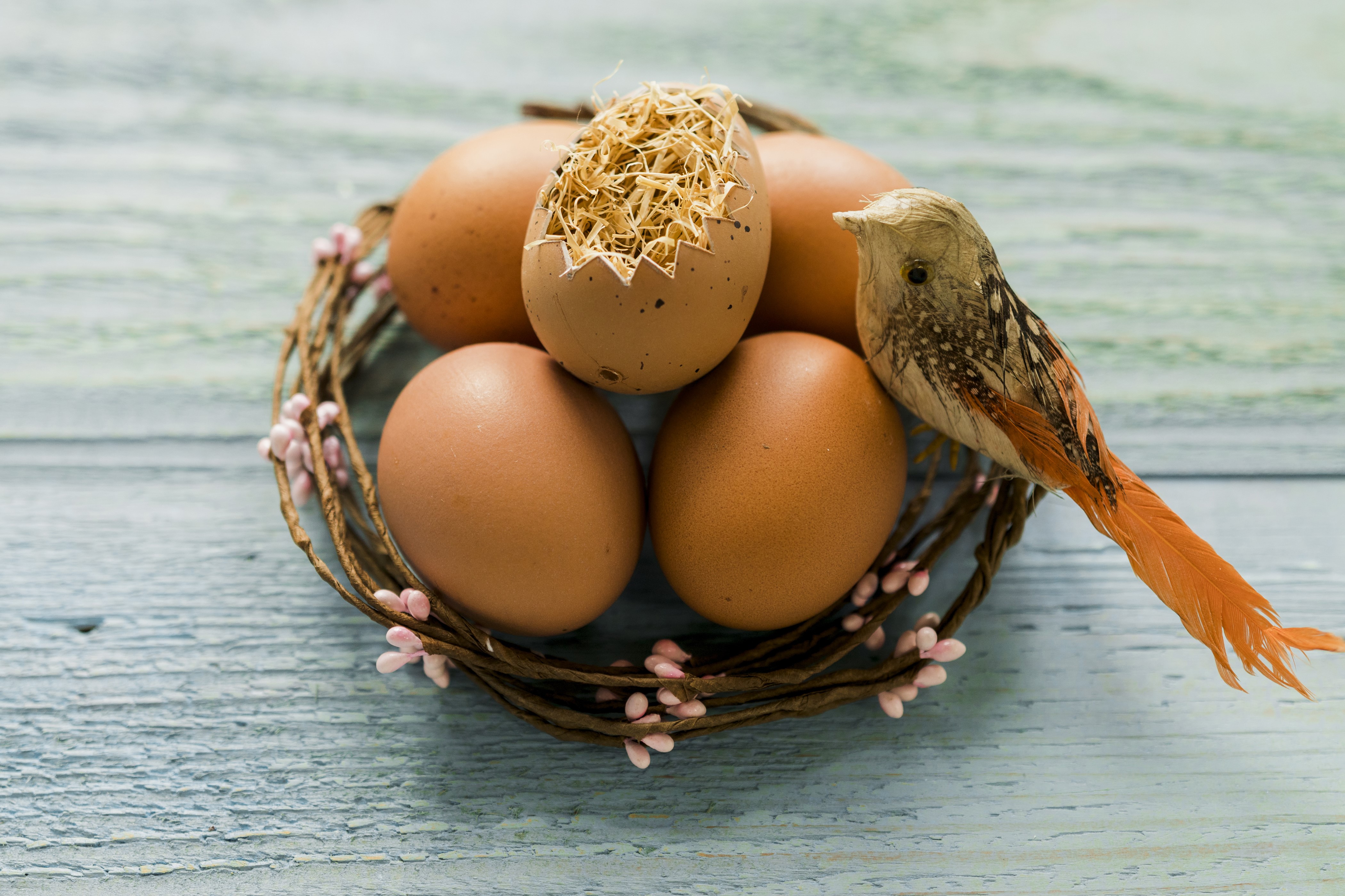 Easter eggs in a nest with a decorative bird HD Wallpaper