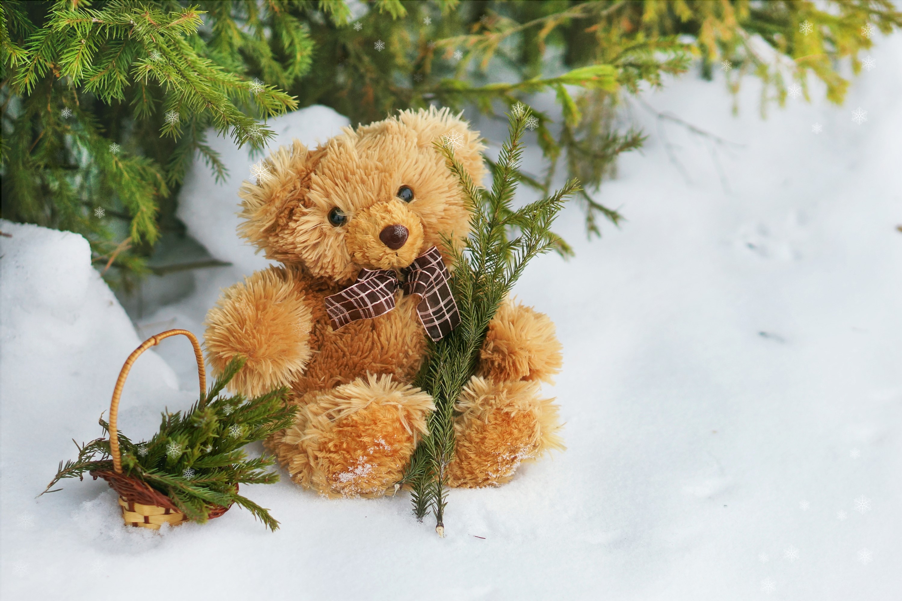 Teddy bear with basket and pine branches in snow HD Wallpaper