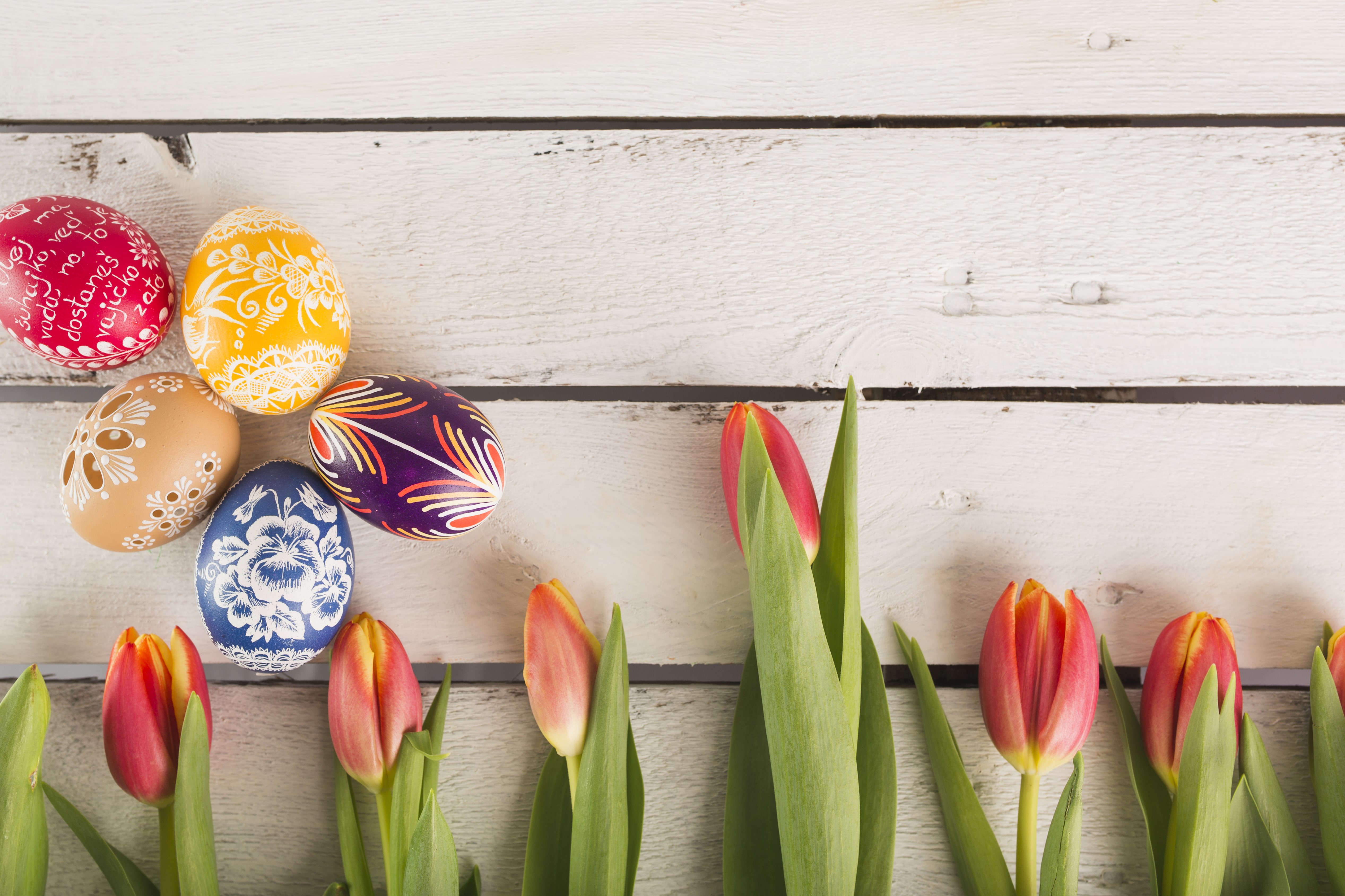 Easter eggs and tulips on wood planks HD Wallpaper