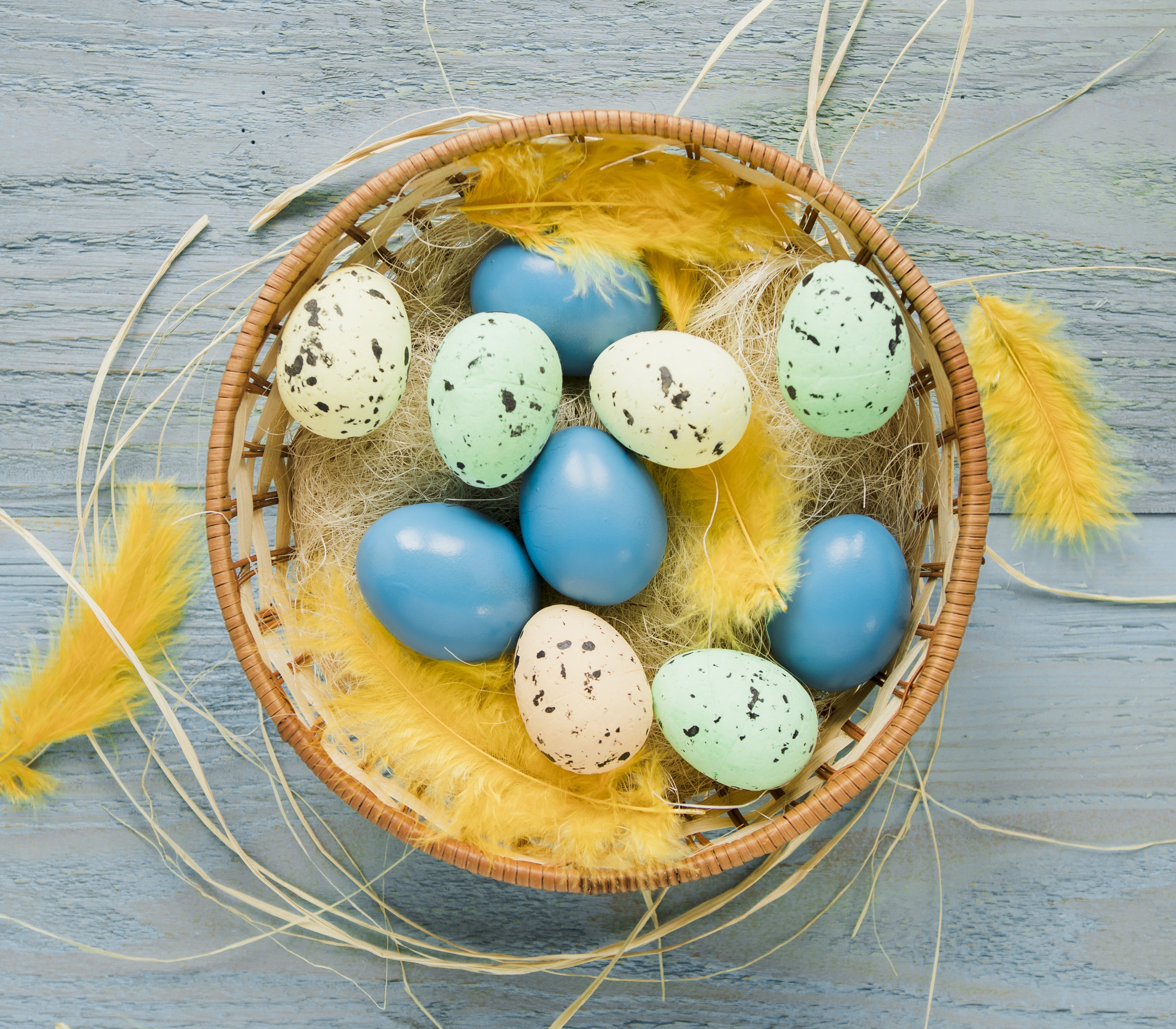 Easter eggs in a basket with feathers HD Wallpaper