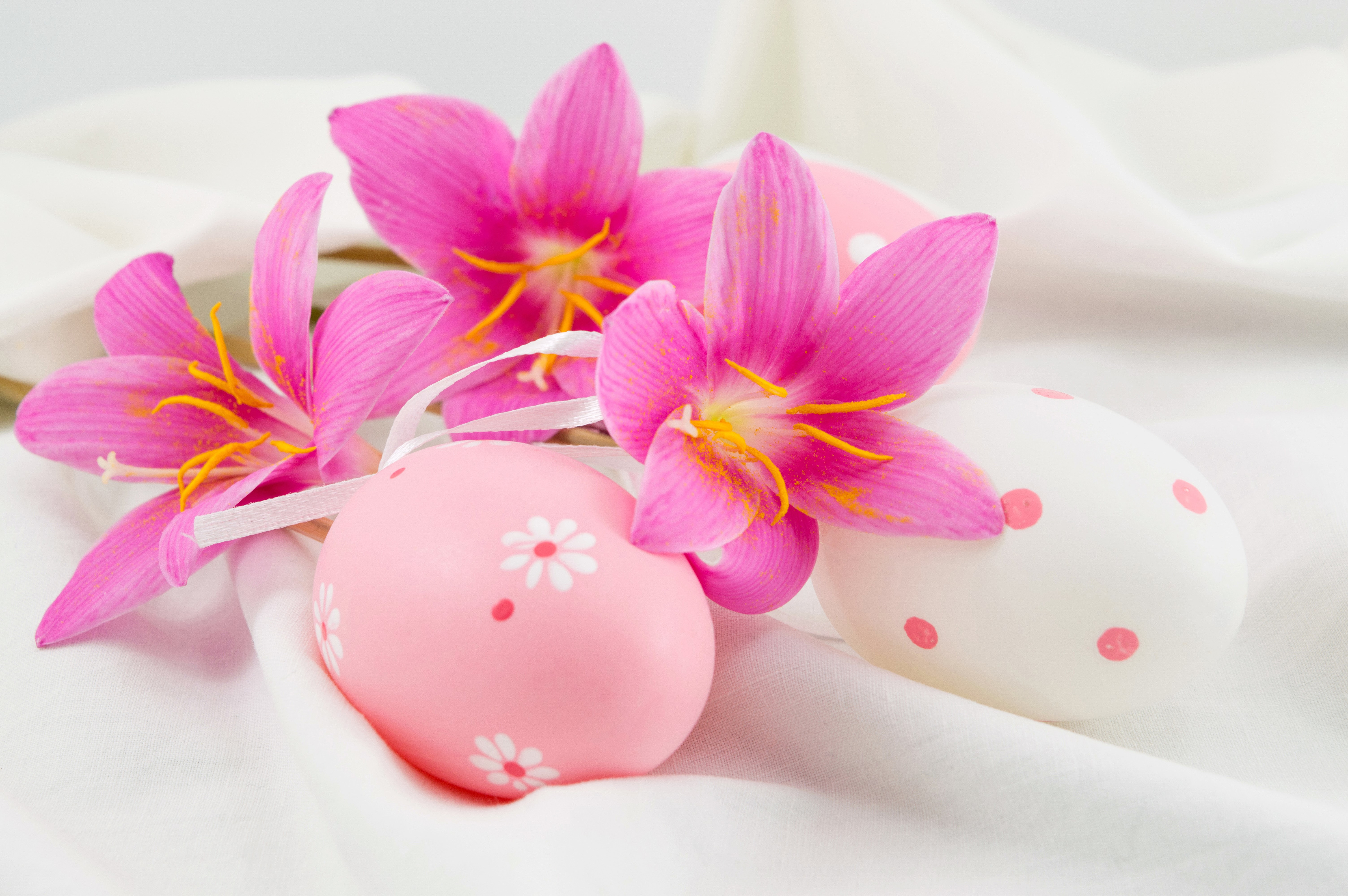 Easter Eggs and Pink Flowers on White Fabric HD Wallpaper
