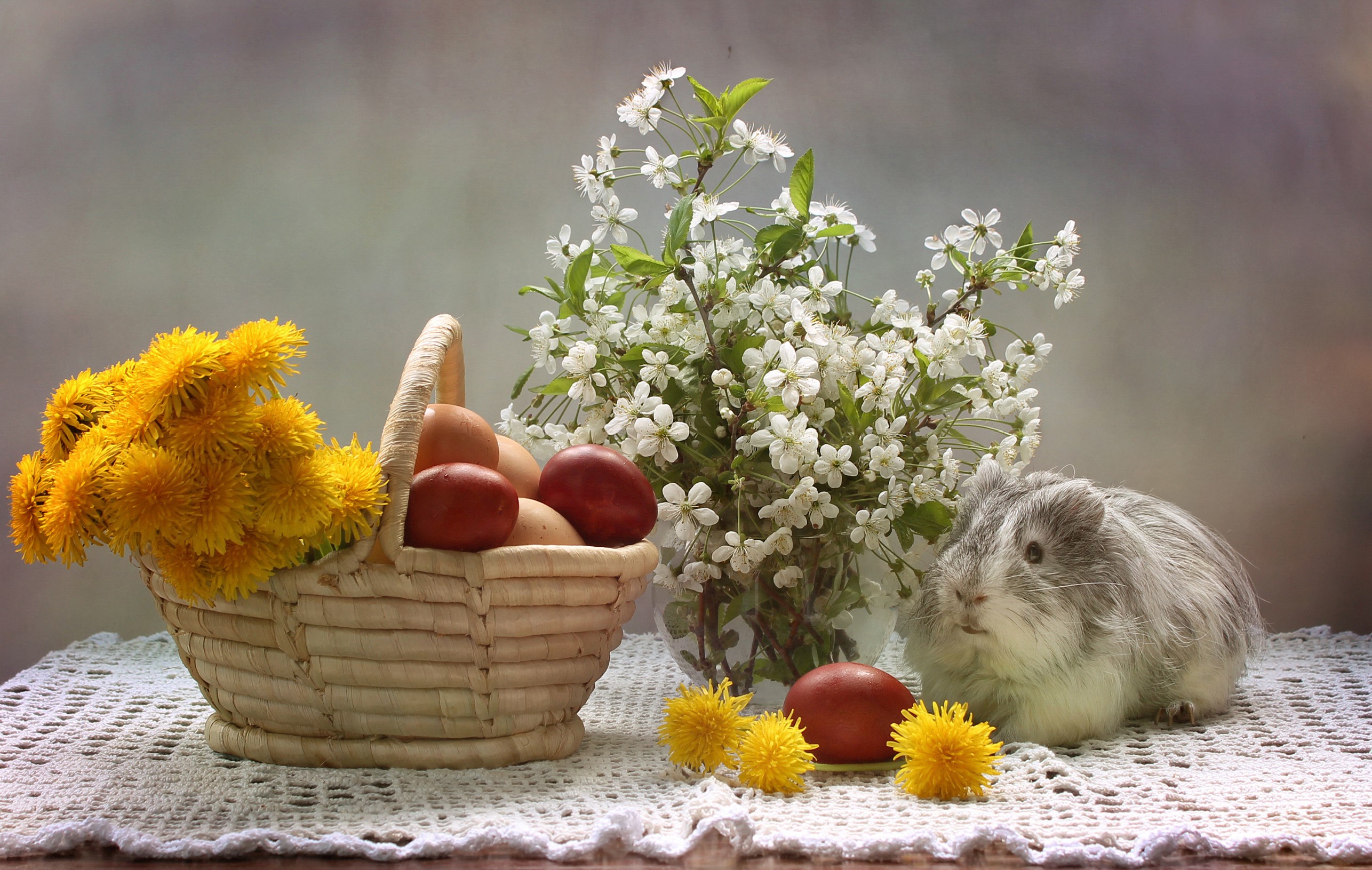 Easter still life with guinea pig, eggs, dandelions, and cherry blossoms HD Wallpaper
