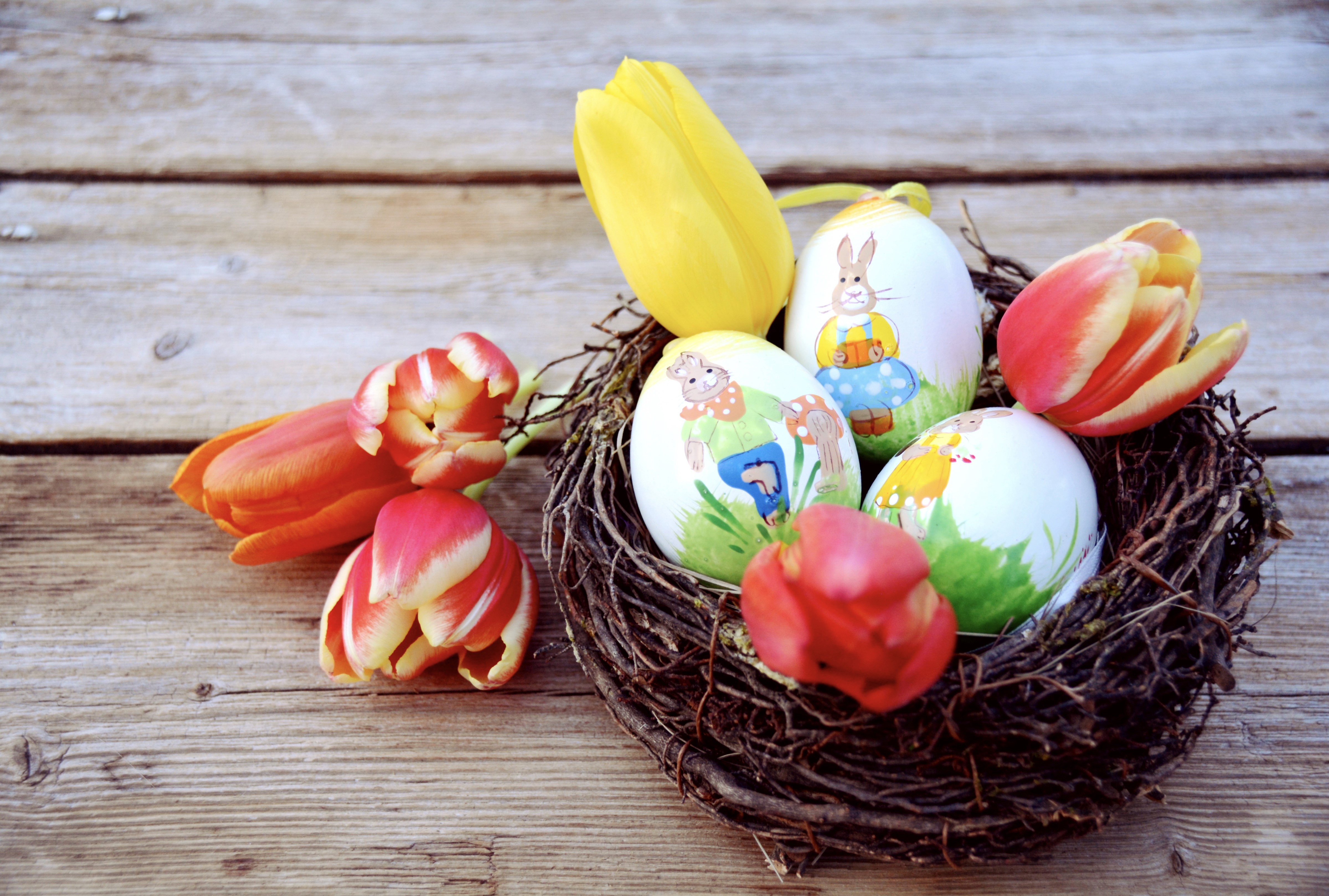 Easter Eggs in Nest with Tulips on Wood HD Wallpaper